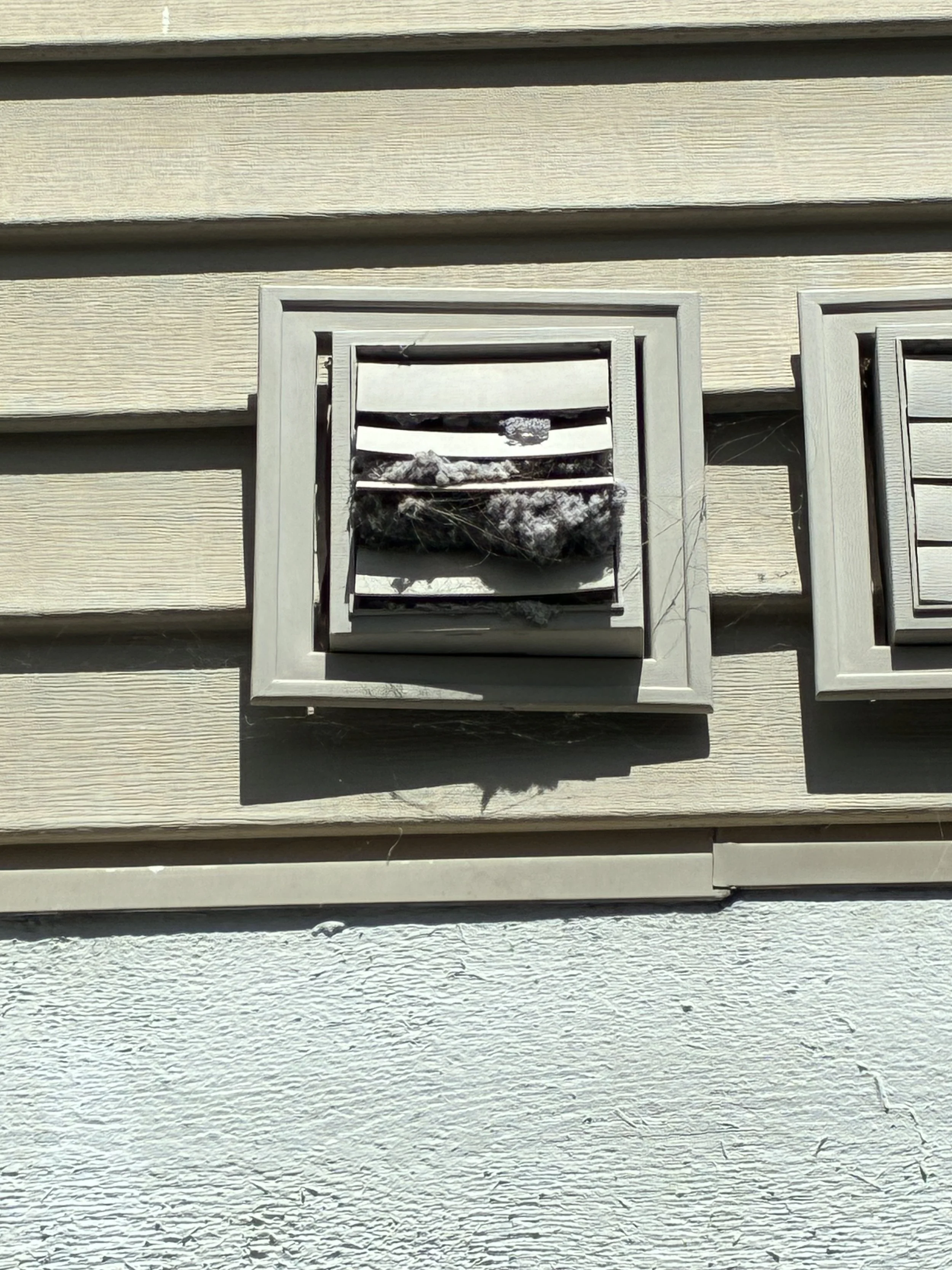 A beige-colored house exterior with horizontal siding and a small, damaged window with tattered screens.