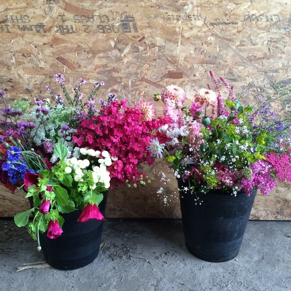 DIY Buckets £90 each. Flowers are fully conditioned and ready to use.