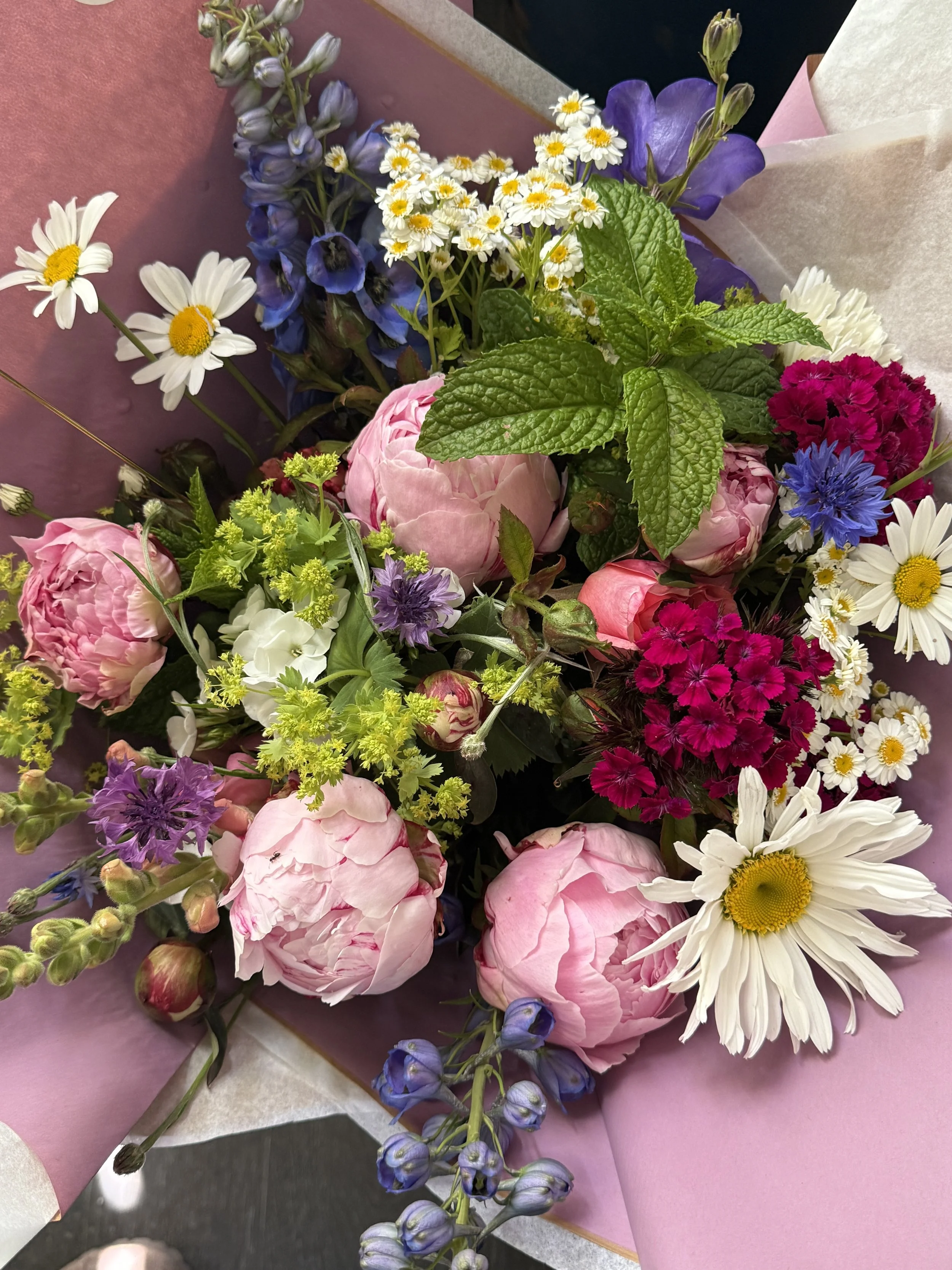 a bouquet of peonies, sweet William, cornflowers and daisies.