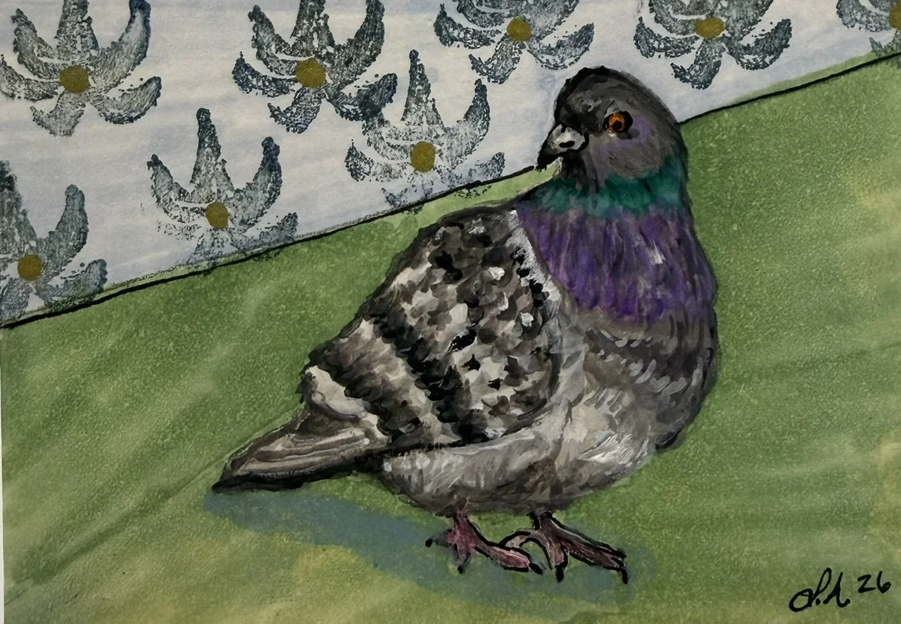 pigeon 2.jpg