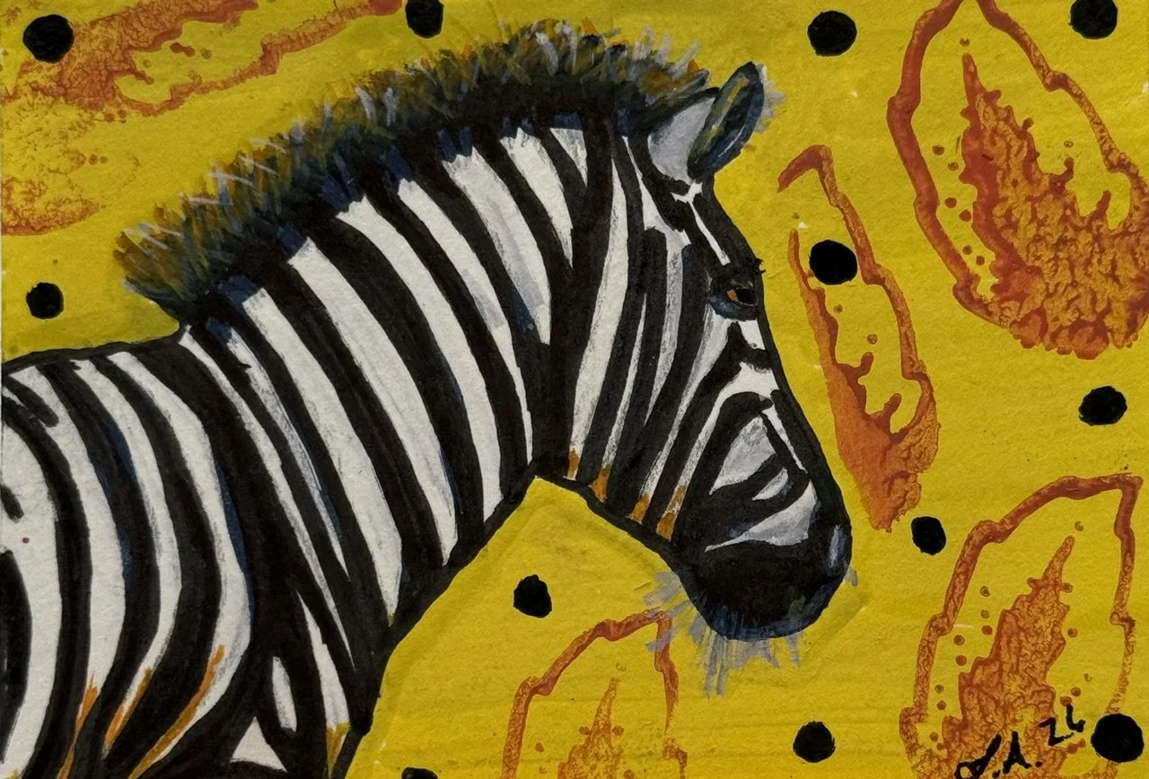zebra.jpg