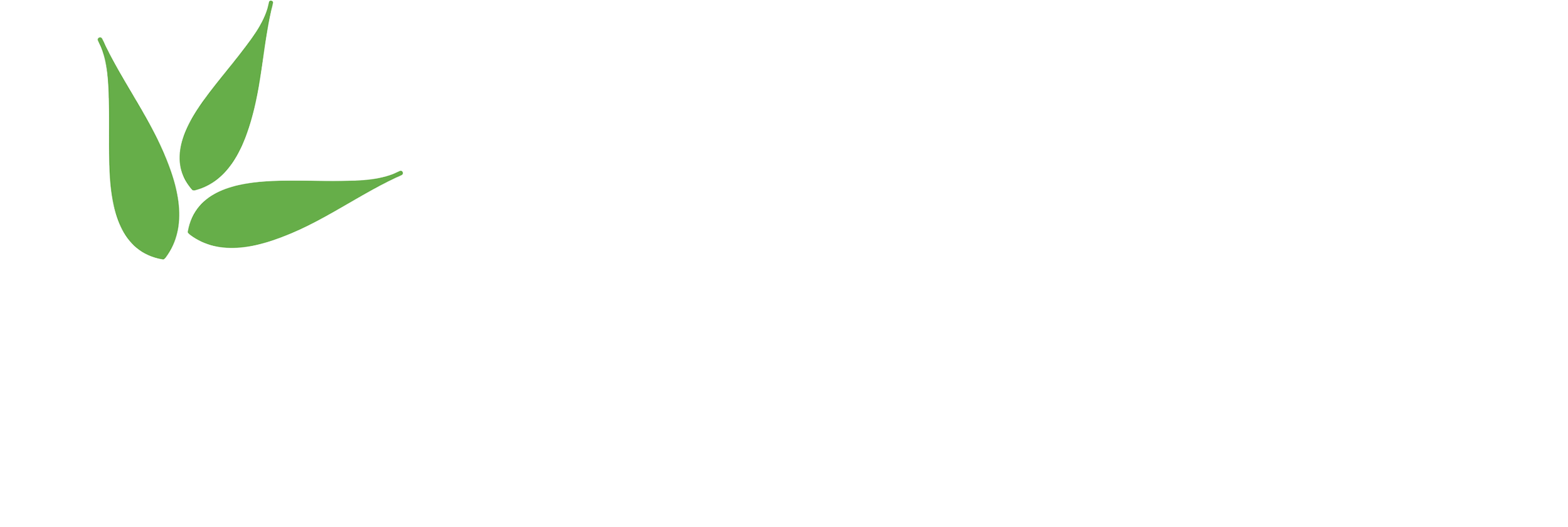 Logo for INFRAMES featuring a stylised green plant with three leaves growing out of a white honeycomb pattern.