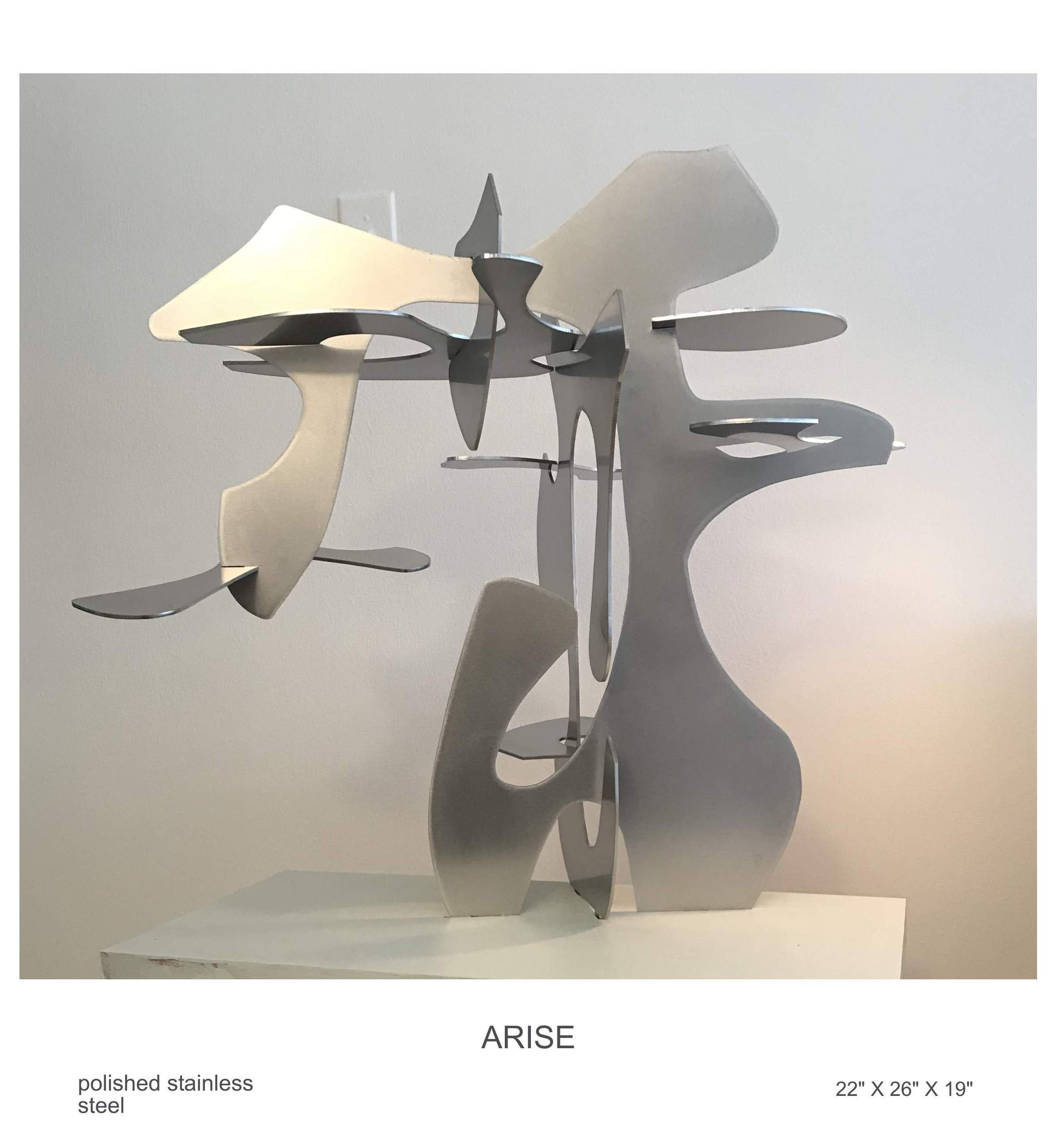ARISE.jpg