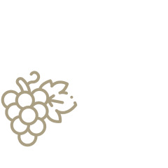 Cachos de uvas roxas em uma folha verde.