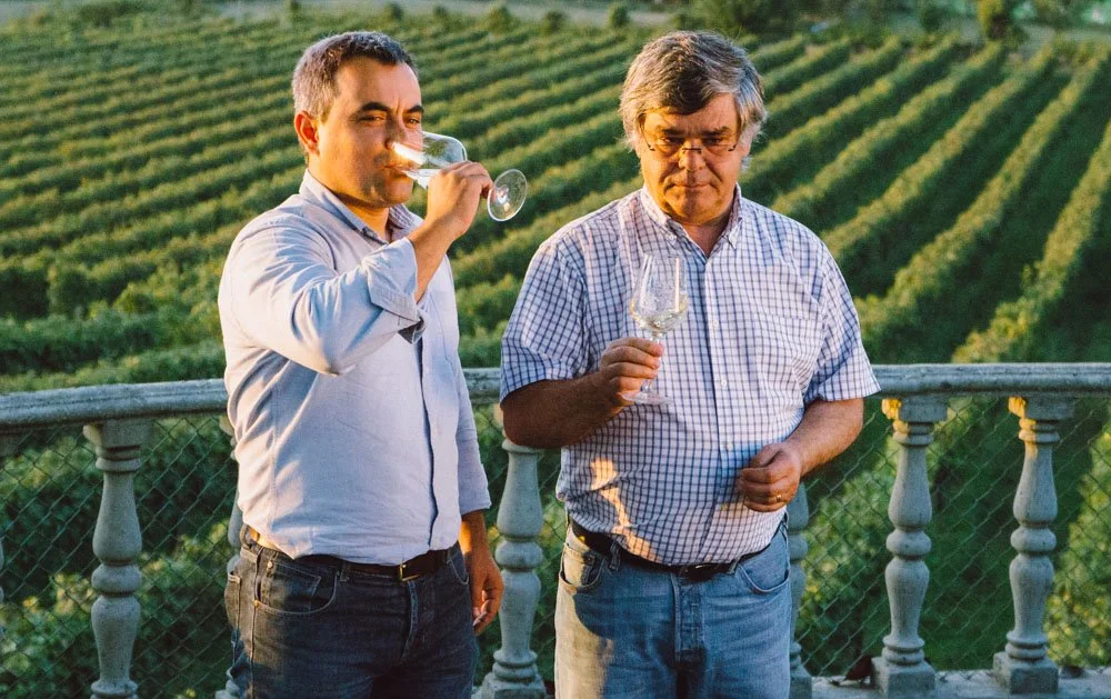 Dois homens bebendo vinho em uma varanda com vista para vinhedos verdes ao entardecer.