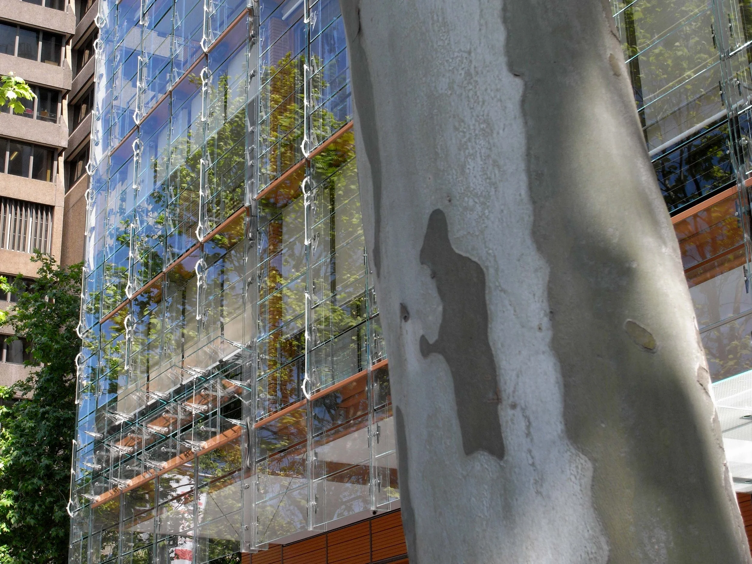 Sydney-Architecture-Walks_Architectural-Tours-Of-Sydney_Piano_Eoghan-Lewis_15556..jpg
