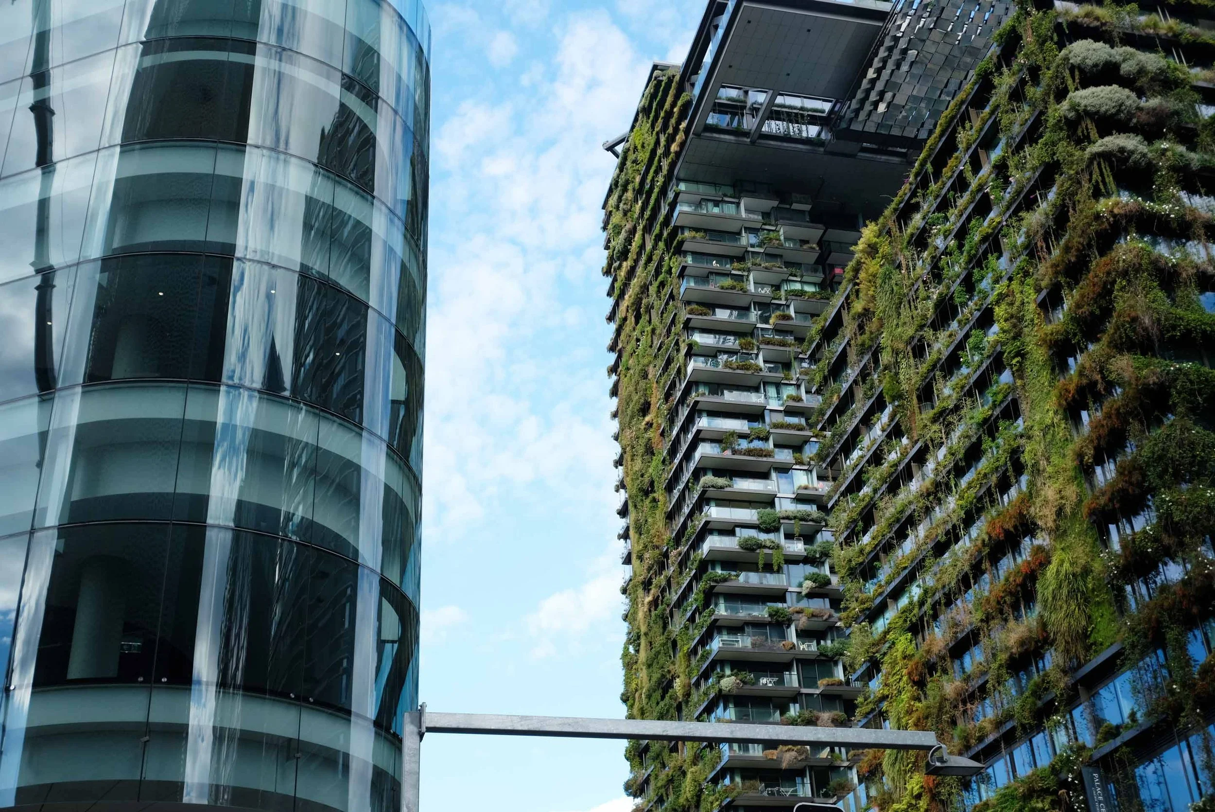 Transformation & Regeneration of Chippendale