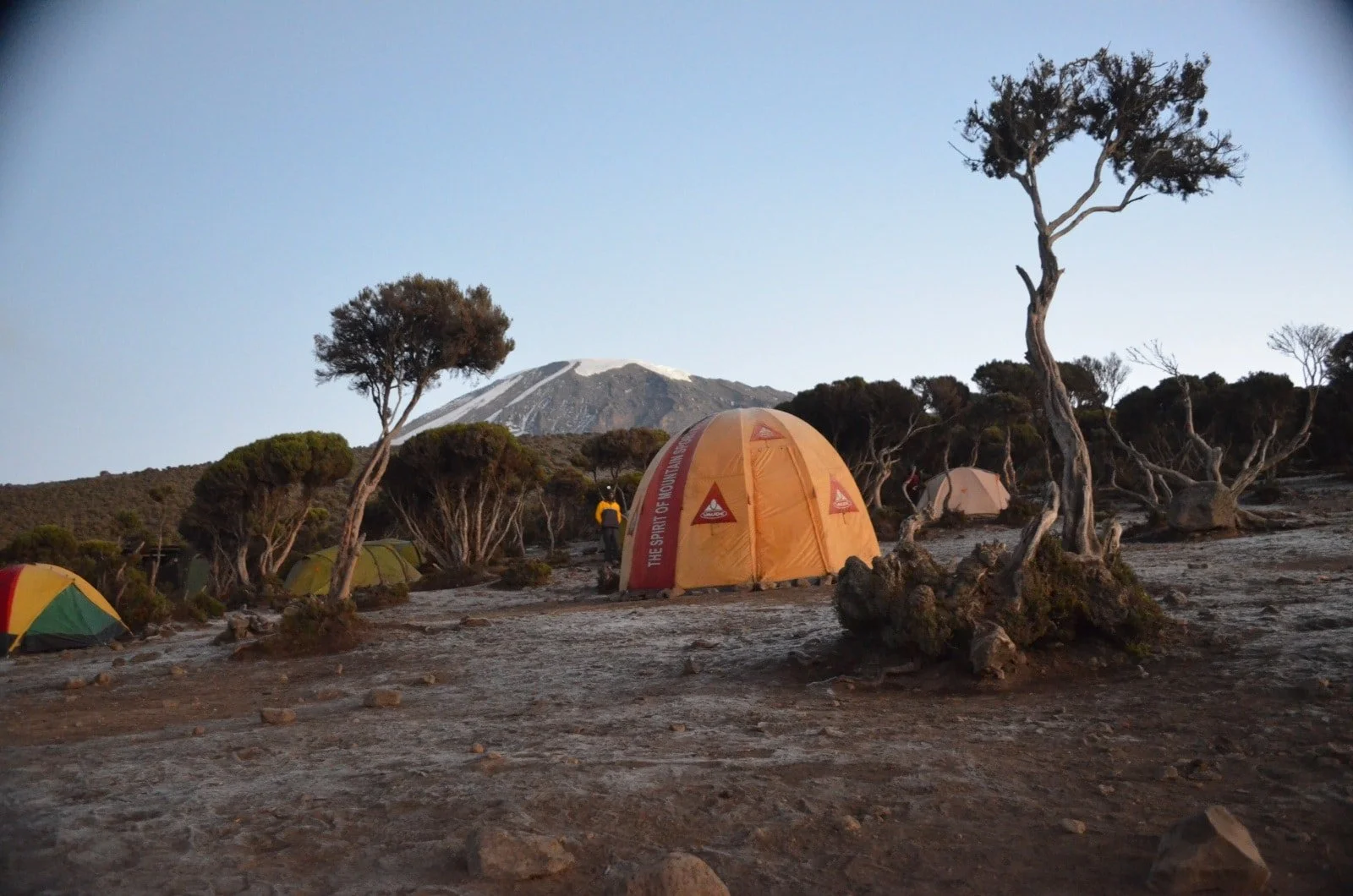 Camping scene in a volcanic landscape with tents, sparse trees, and a distant snow-capped mountain.