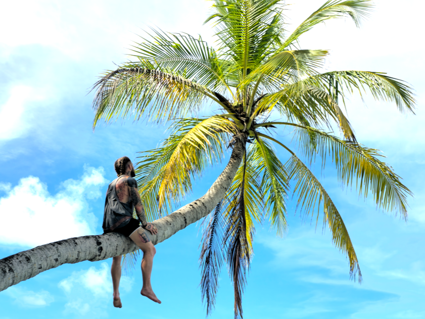 A person sitting on a slanted palm tree trunk, looking up at the palm leaves against a partly cloudy blue sky.