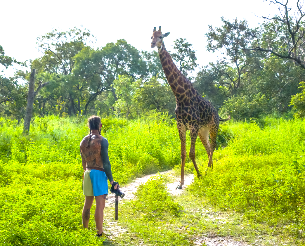 A woman in athletic clothing holding a camera, standing on a dirt path with a giraffe approaching from the front amidst lush greenery and trees.