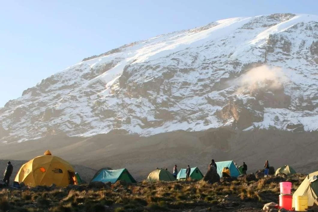 Multiple tents set up on a grassy plain in front of a snow-capped mountain with clear sky.