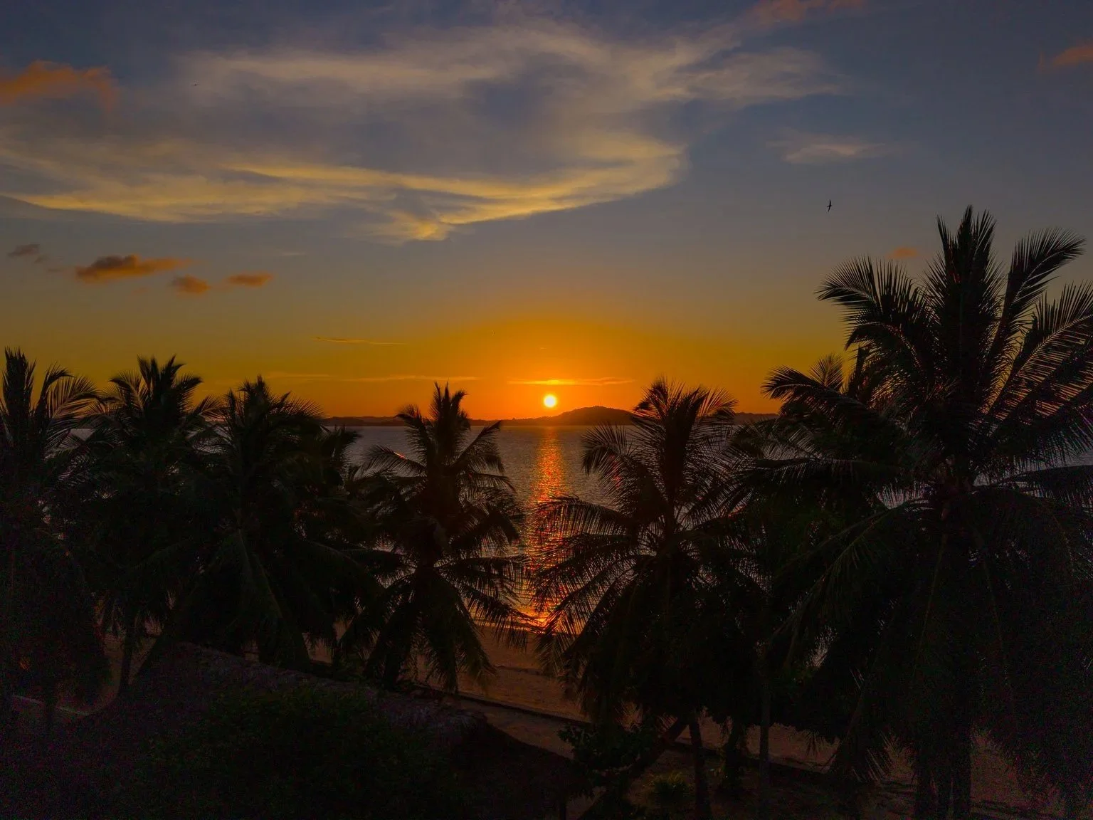 Sunset over a body of water with palm trees in the foreground and a few clouds in the sky.