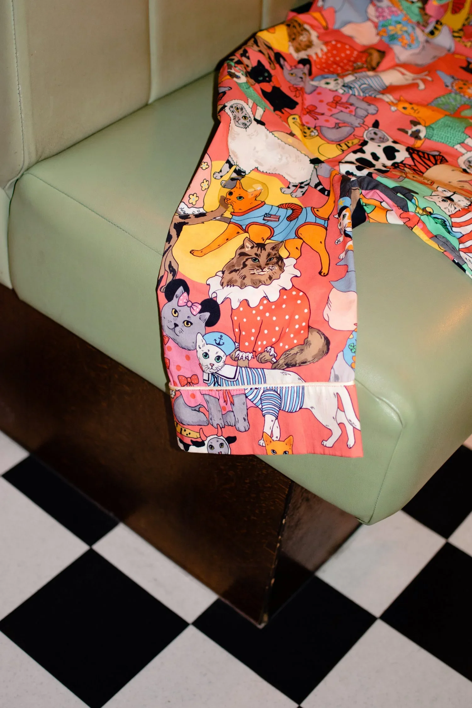 Fancy+dress+cats+10+year+Karen+Mabon3.webp