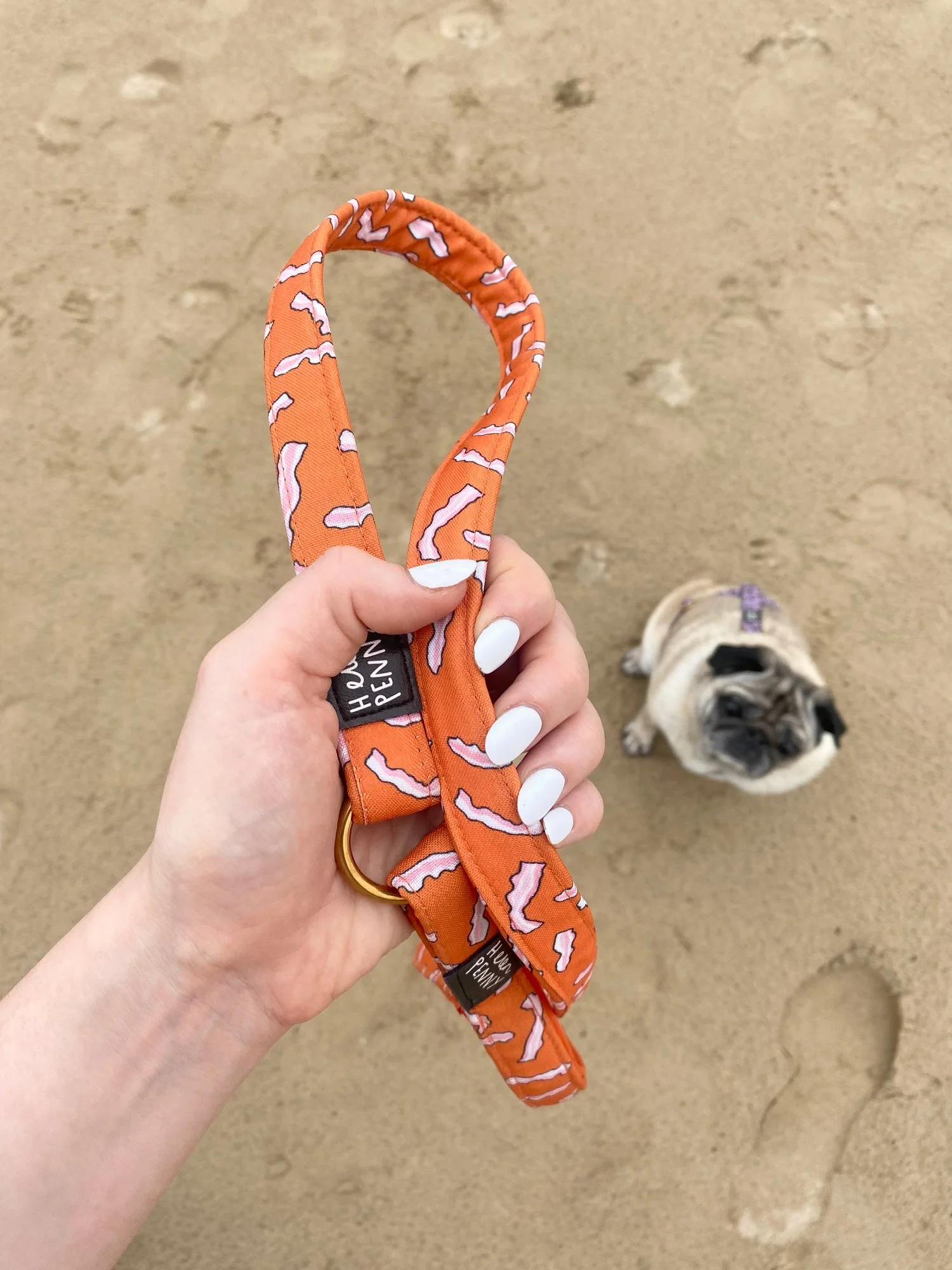 bacon-lead-beach.jpg