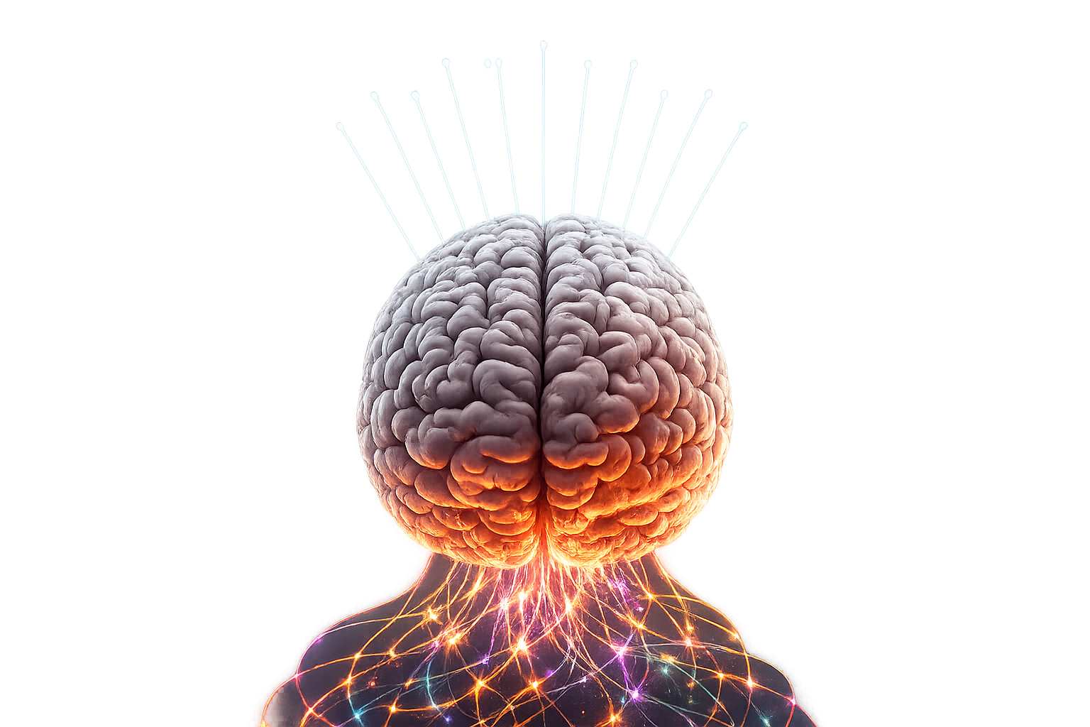 Neurodivergent brain with confused input and organized, structured output.