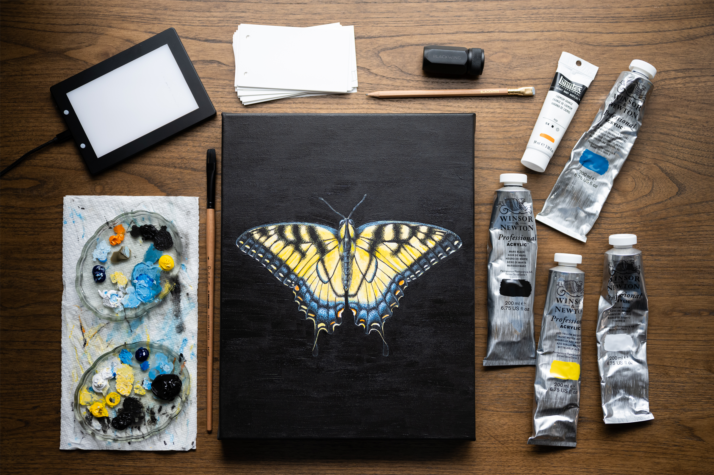 Website - Eastern Tiger Swallowtail.png