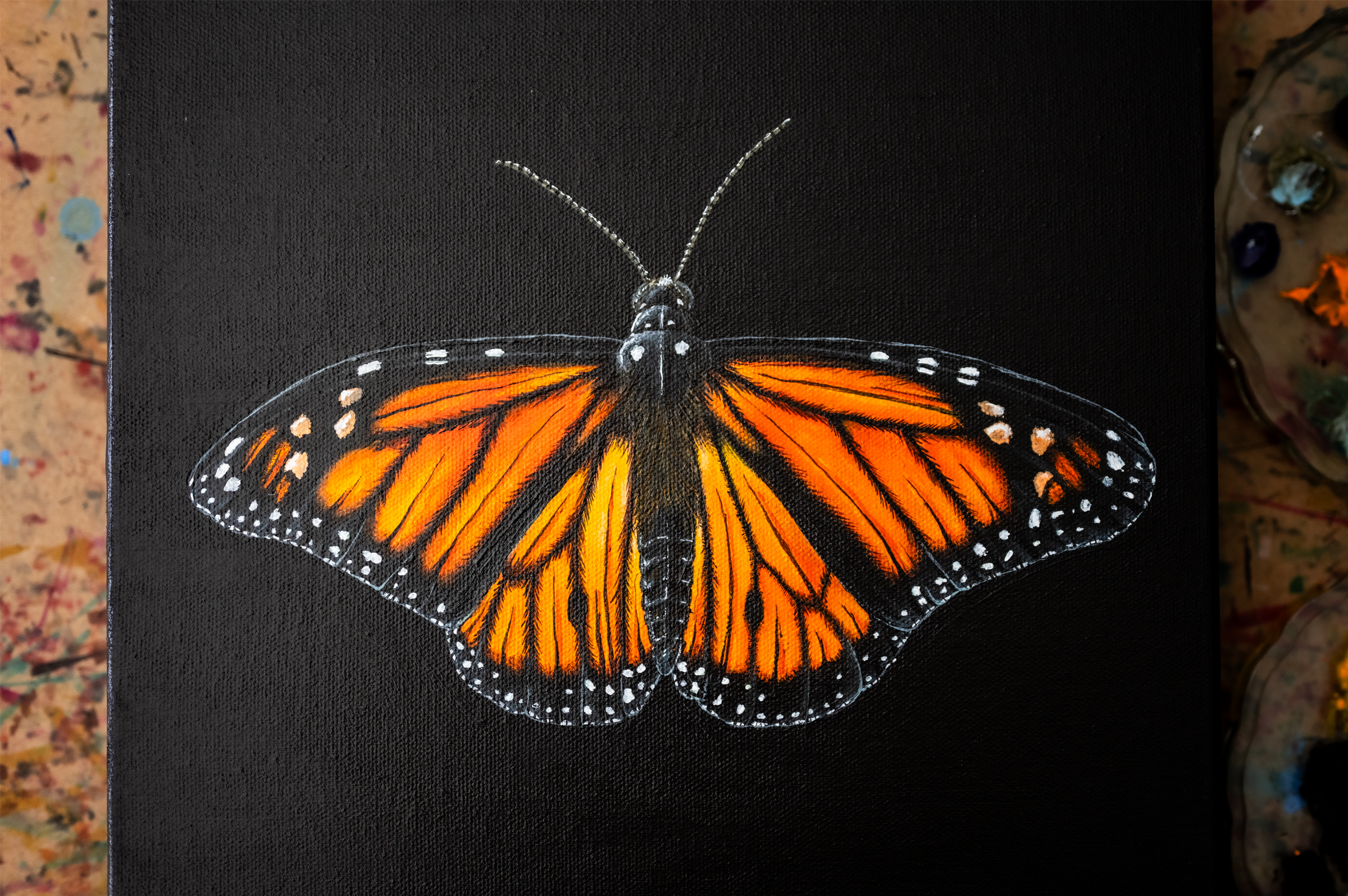 Website - Monarch.png
