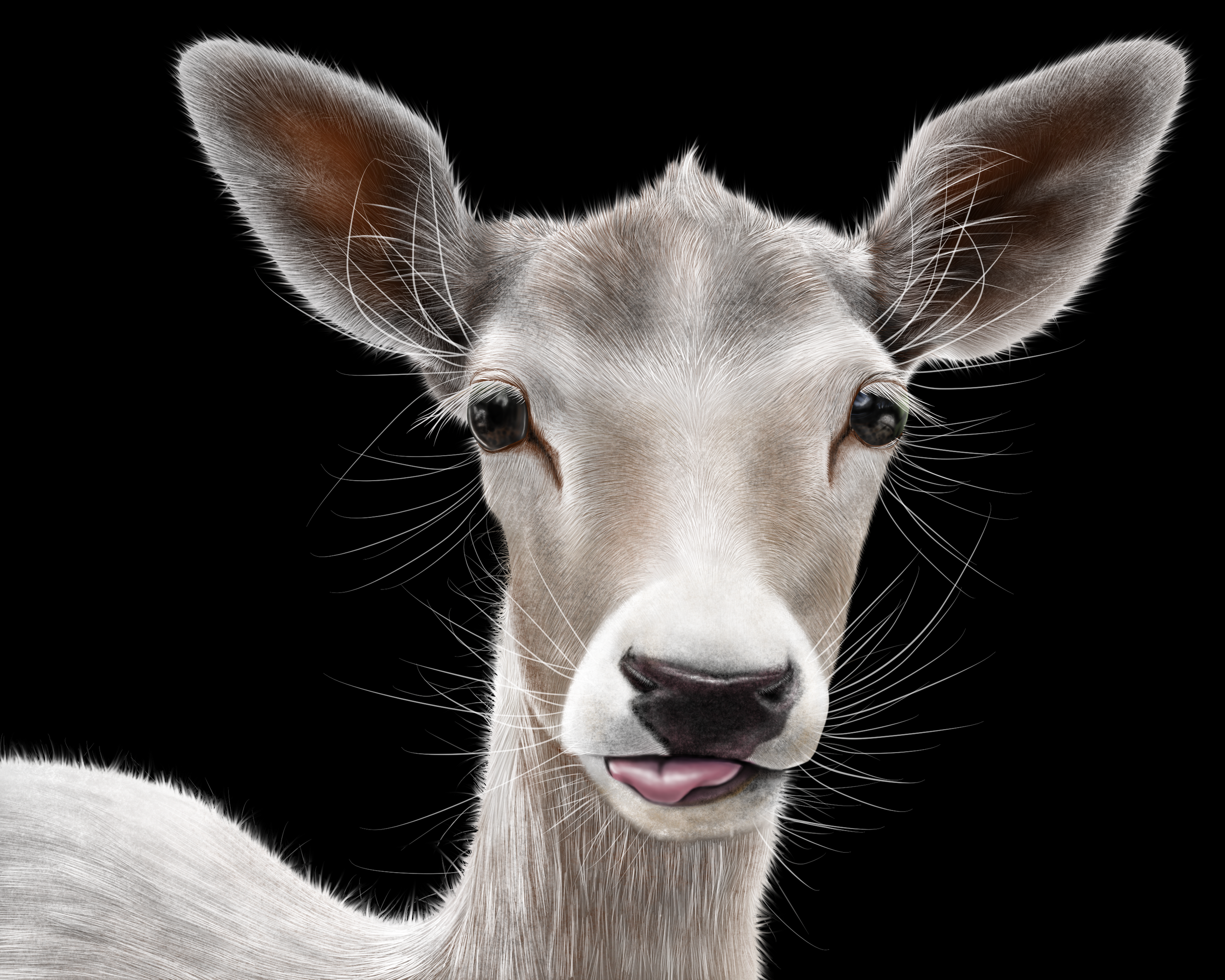 Oh Deer!.png