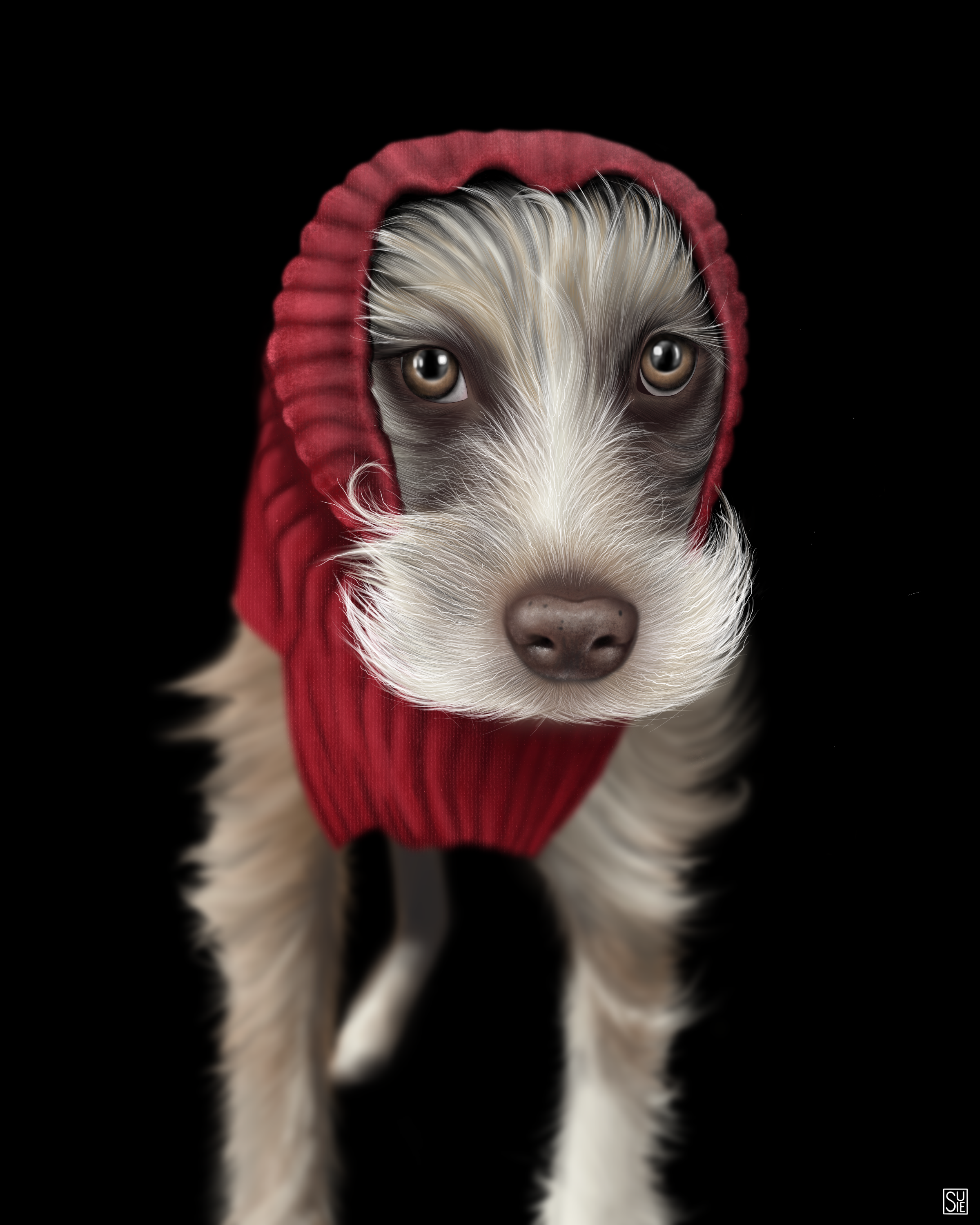 Canela.png