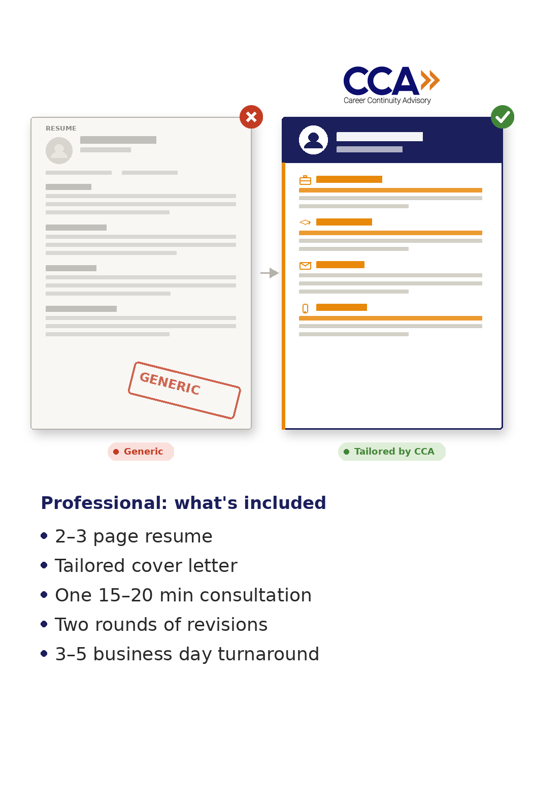 Professional Resume