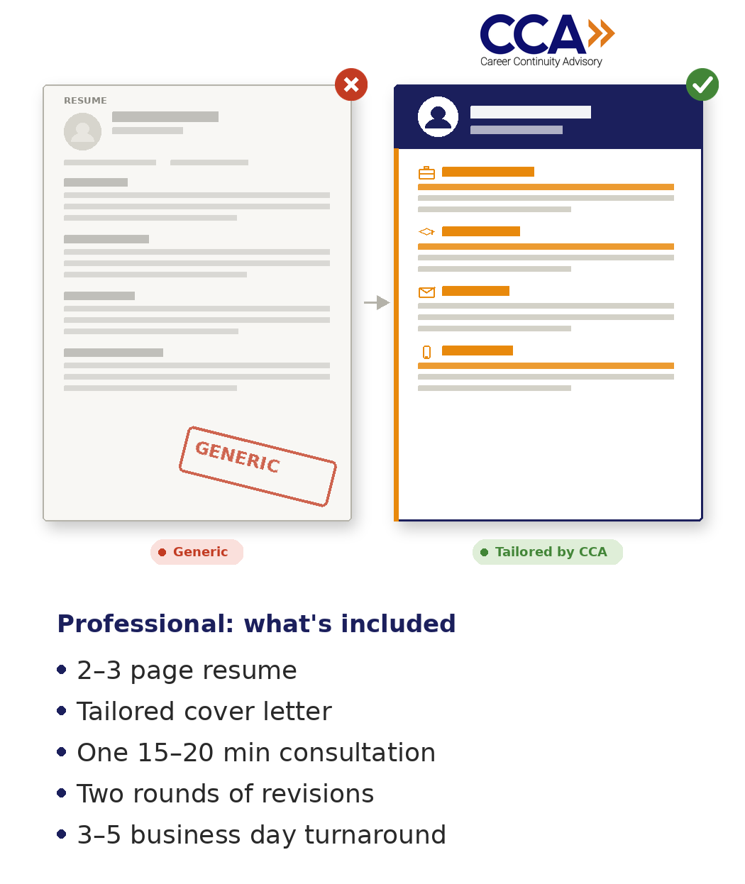 Professional Resume
