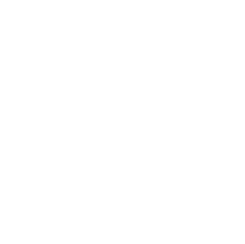 Chart icon