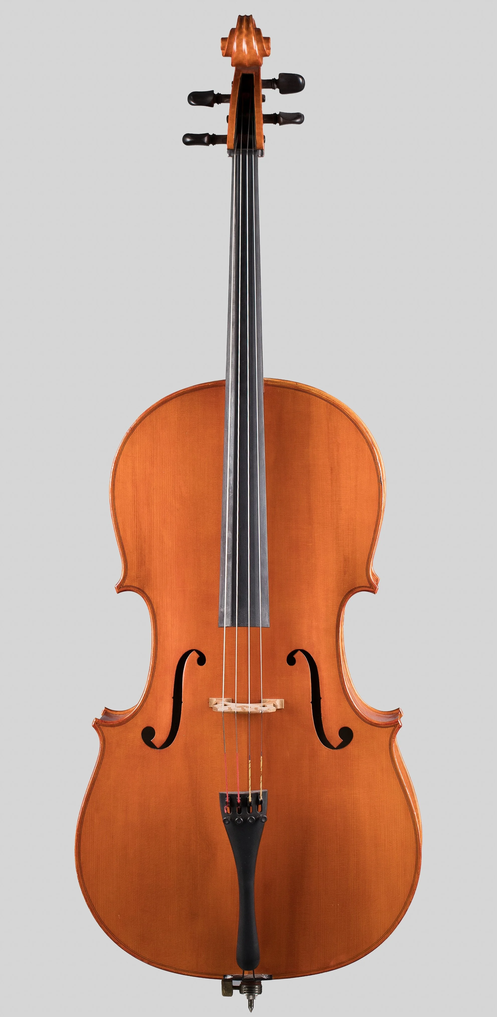 Nikolai Tambovsky Cello, 2015