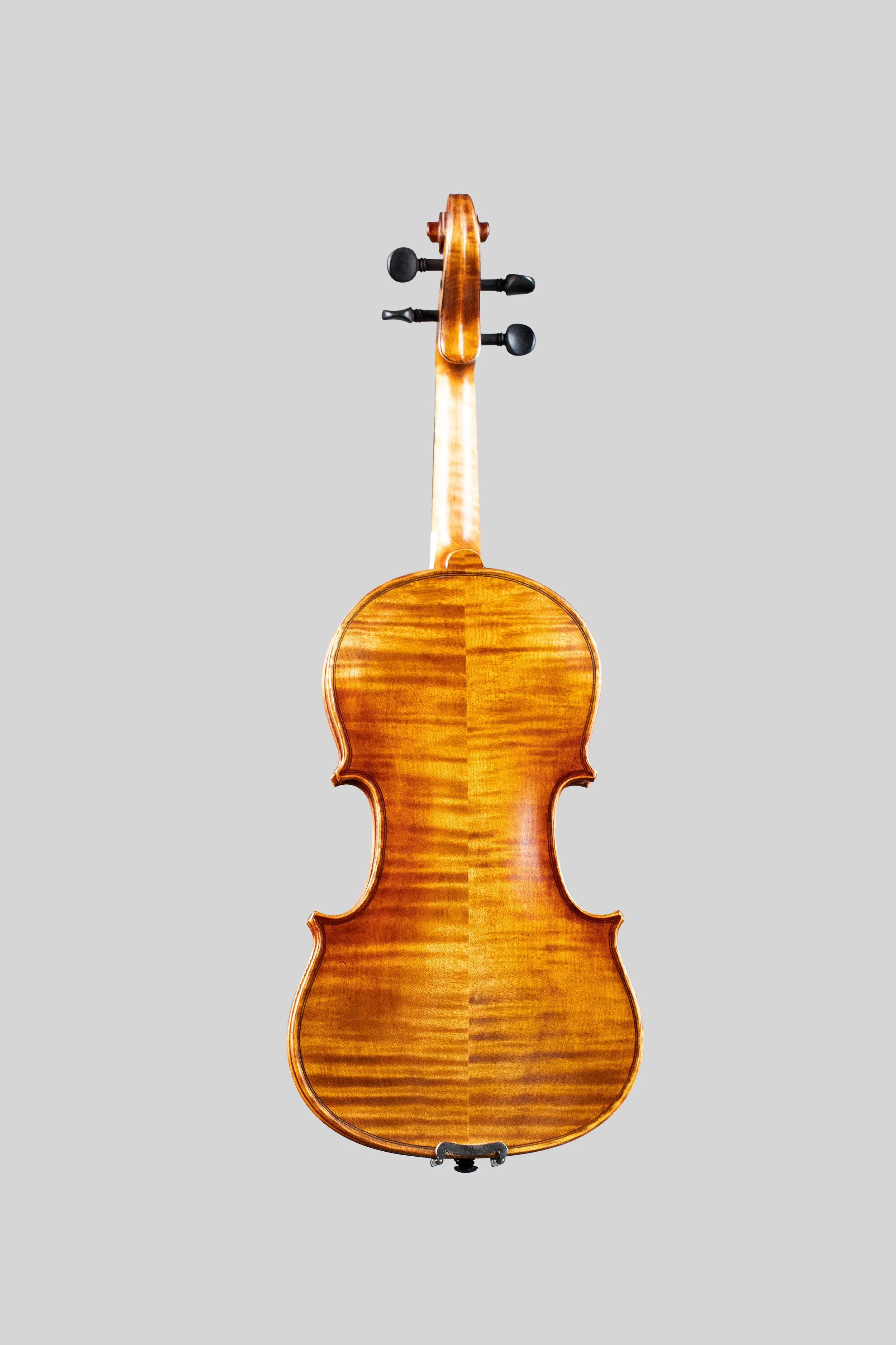GCV1:2ViolinBack.jpg