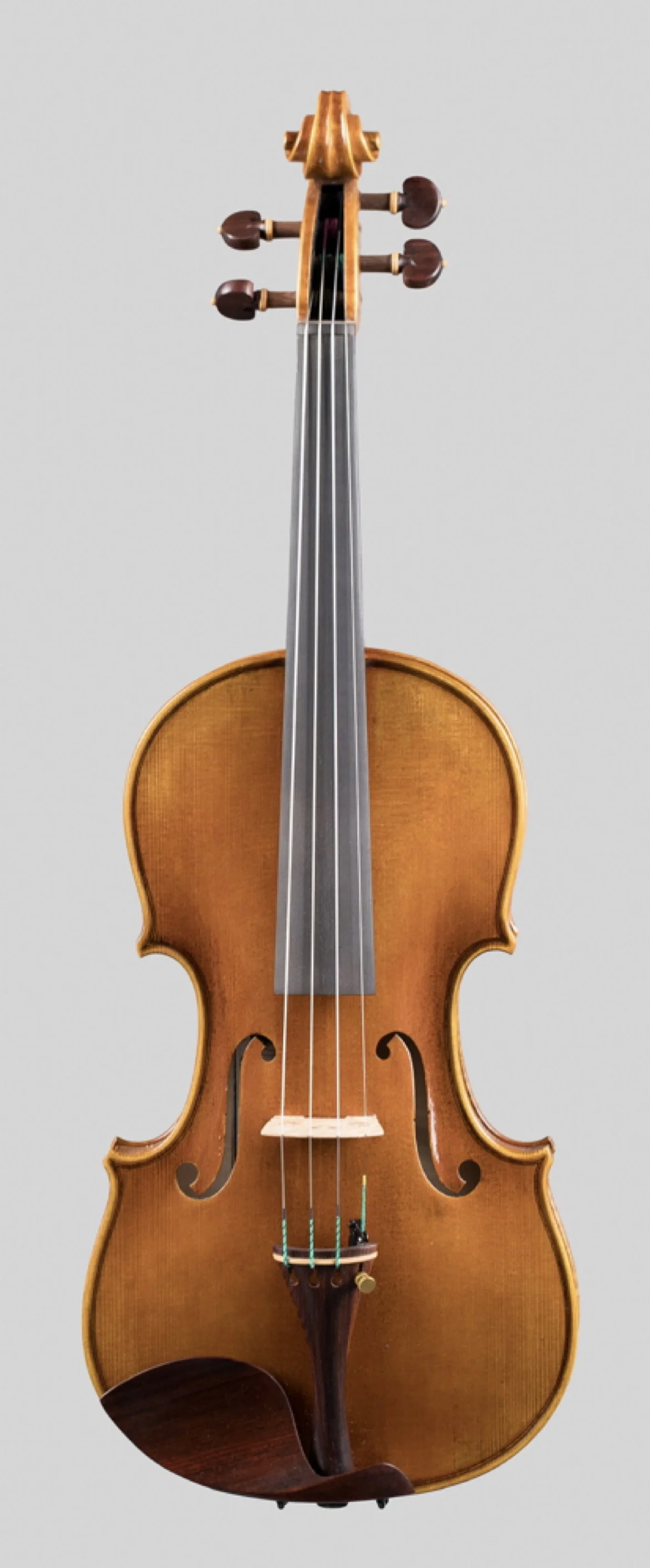 GHVN Model Violin