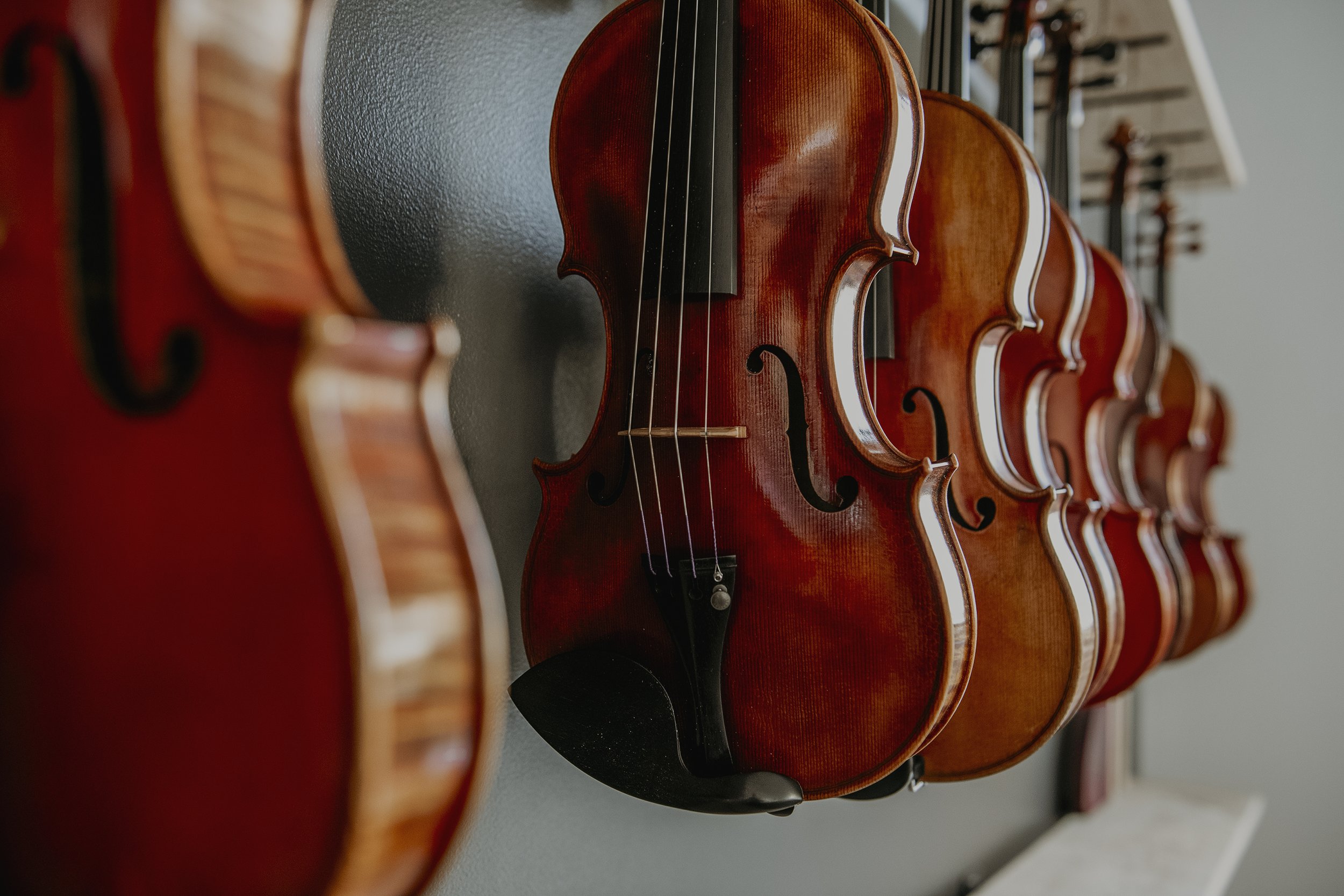 Multiple violins lined up on a display rack.