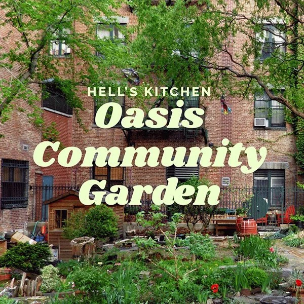 Oasis Community Garden August