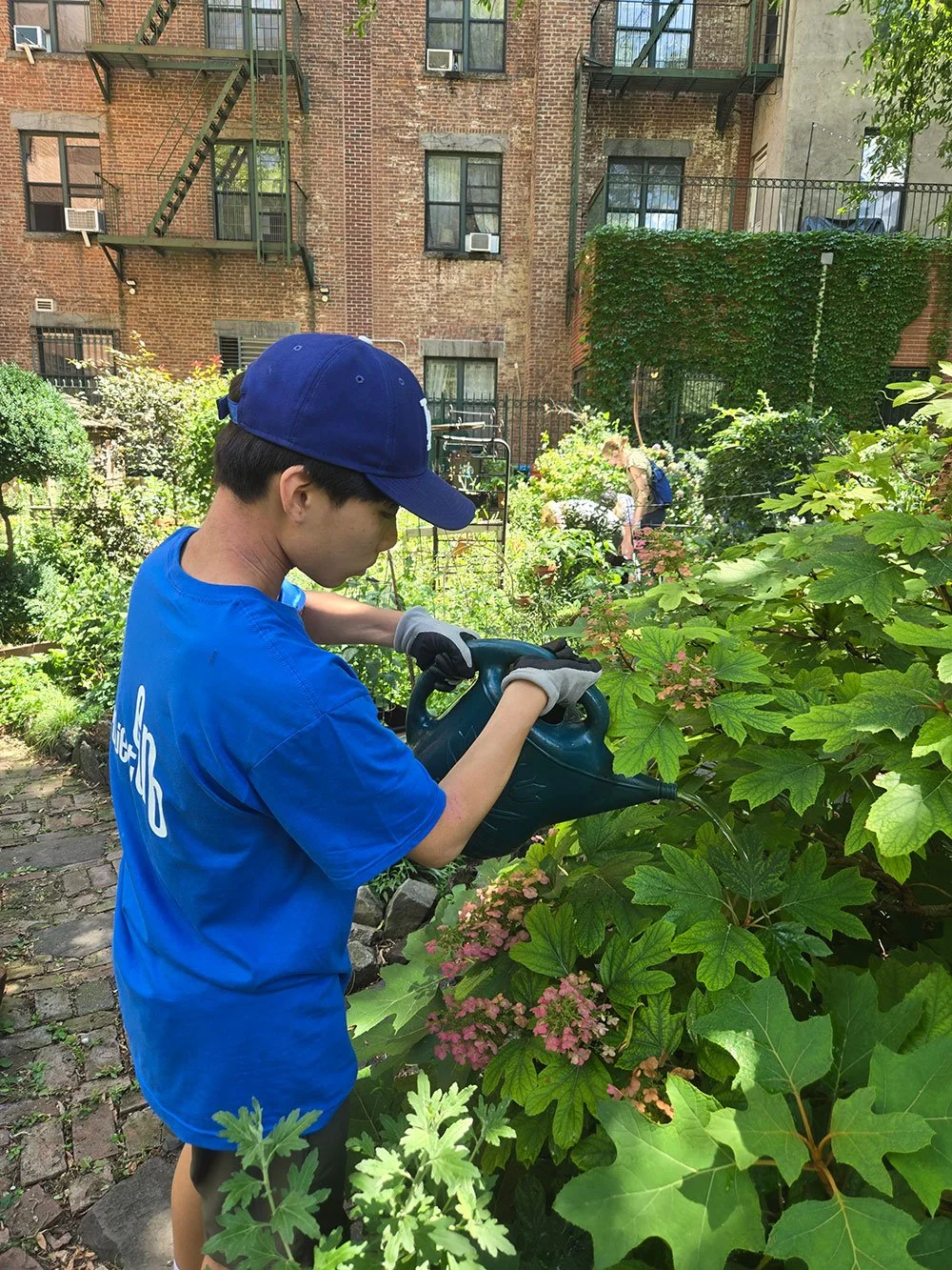 Oasis Garden Volunteering