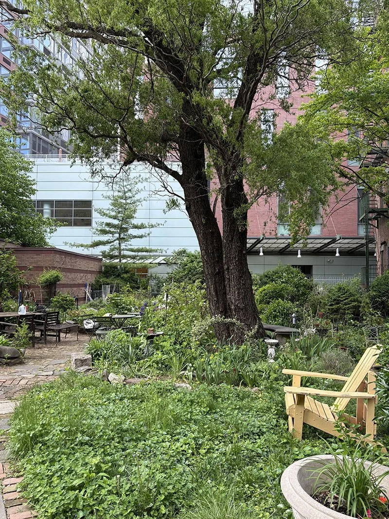 Oasis Garden
