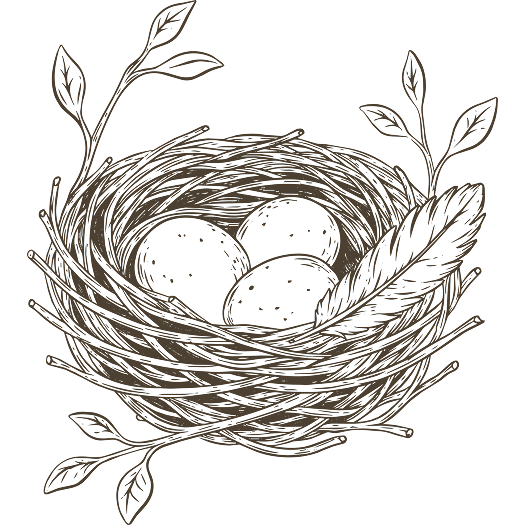 Illustration of a bird's nest with eggs, symbolizing women's mental health support through life transitions