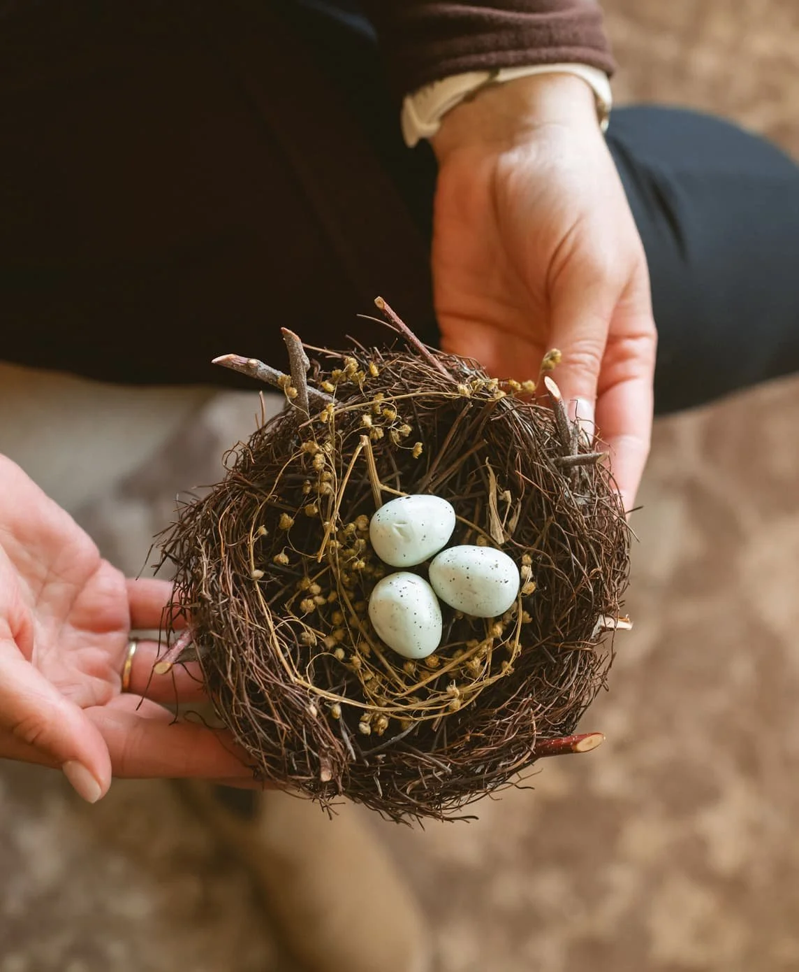 Hands gently cradling a nest with eggs, symbolizing The Haven as a safe place to land during hard seasons