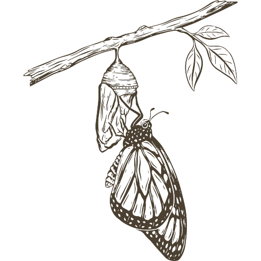 Illustration of a butterfly emerging from its chrysalis, symbolizing recovery and transformation after narcissistic abuse