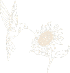 Bird Flower Illustration The Haven Mental Health Services