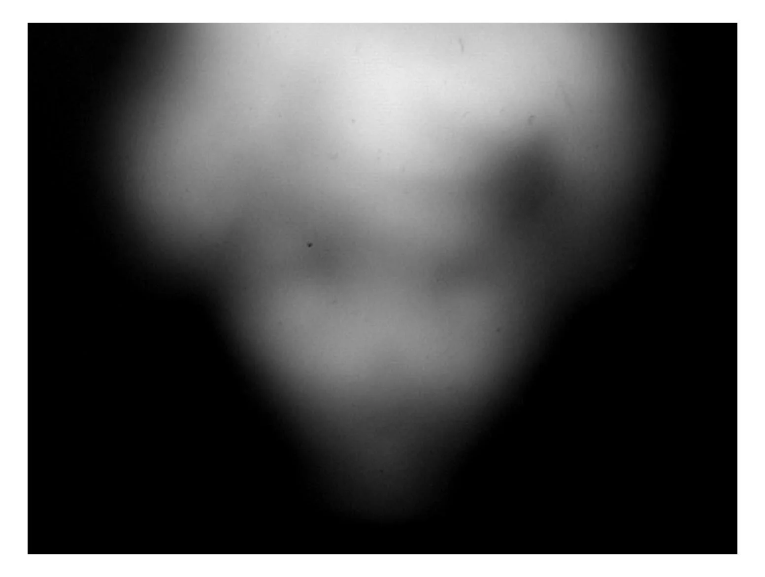 Stills 8.jpg