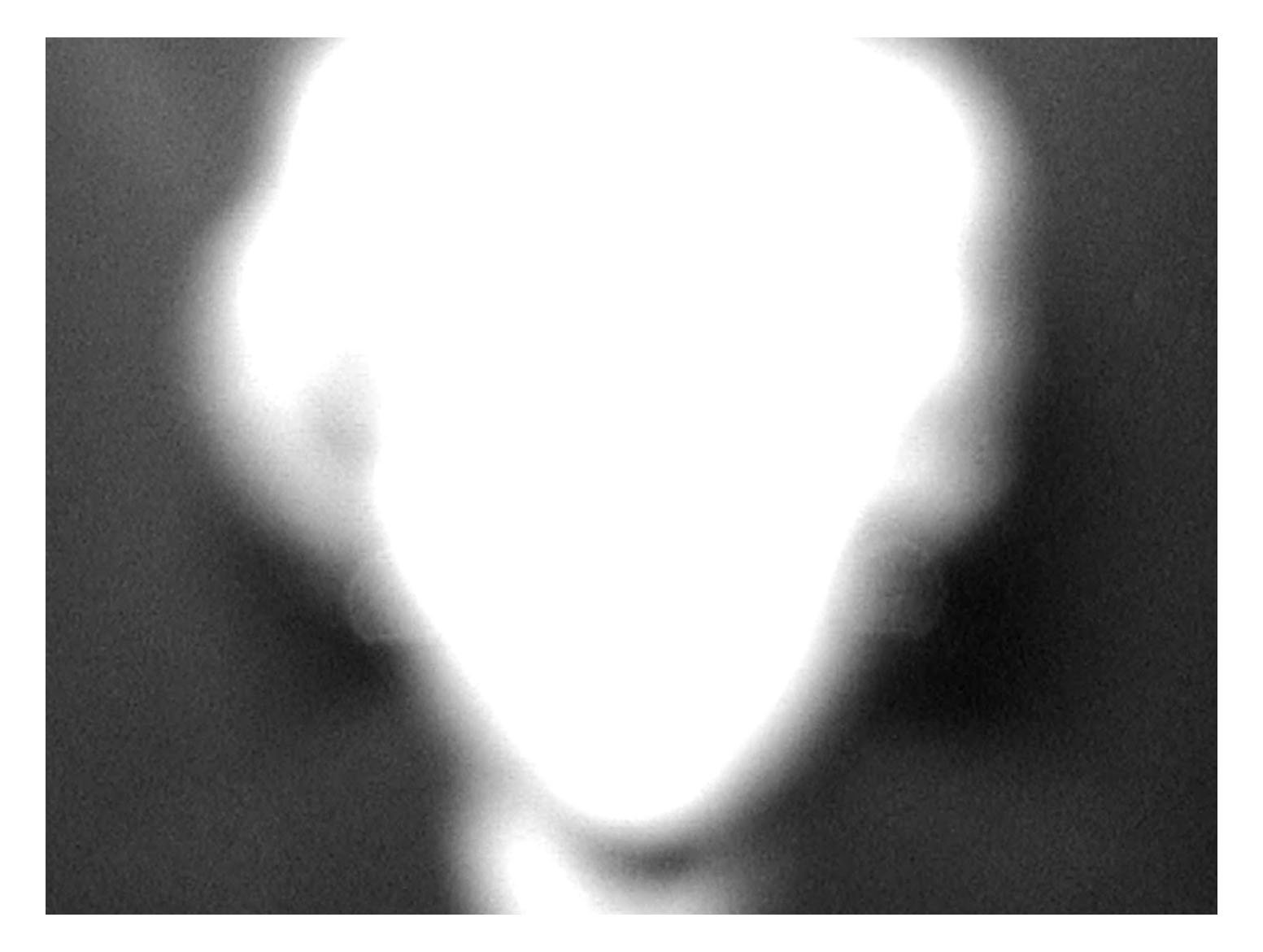 Stills 7.jpg