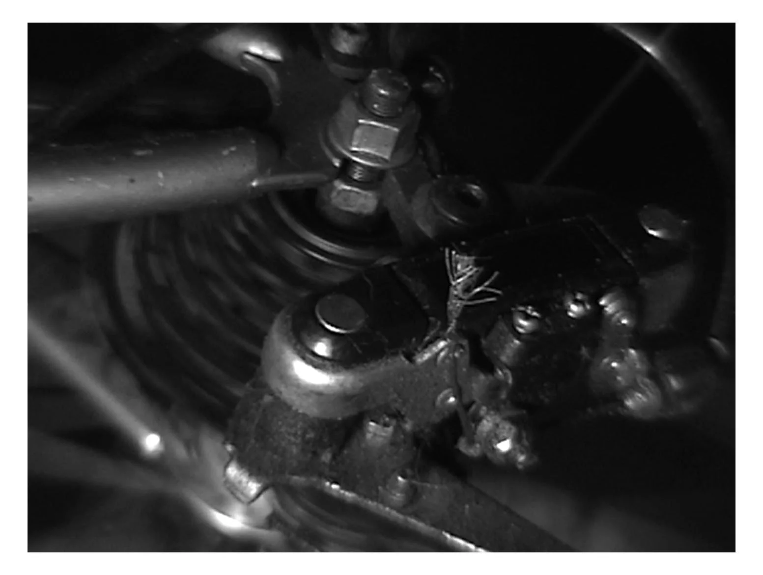 Stills 11.jpg
