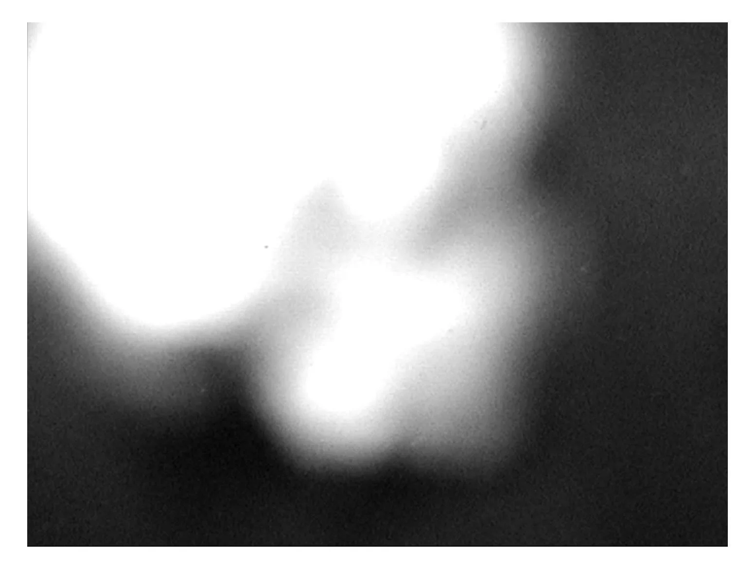 Stills 9.jpg