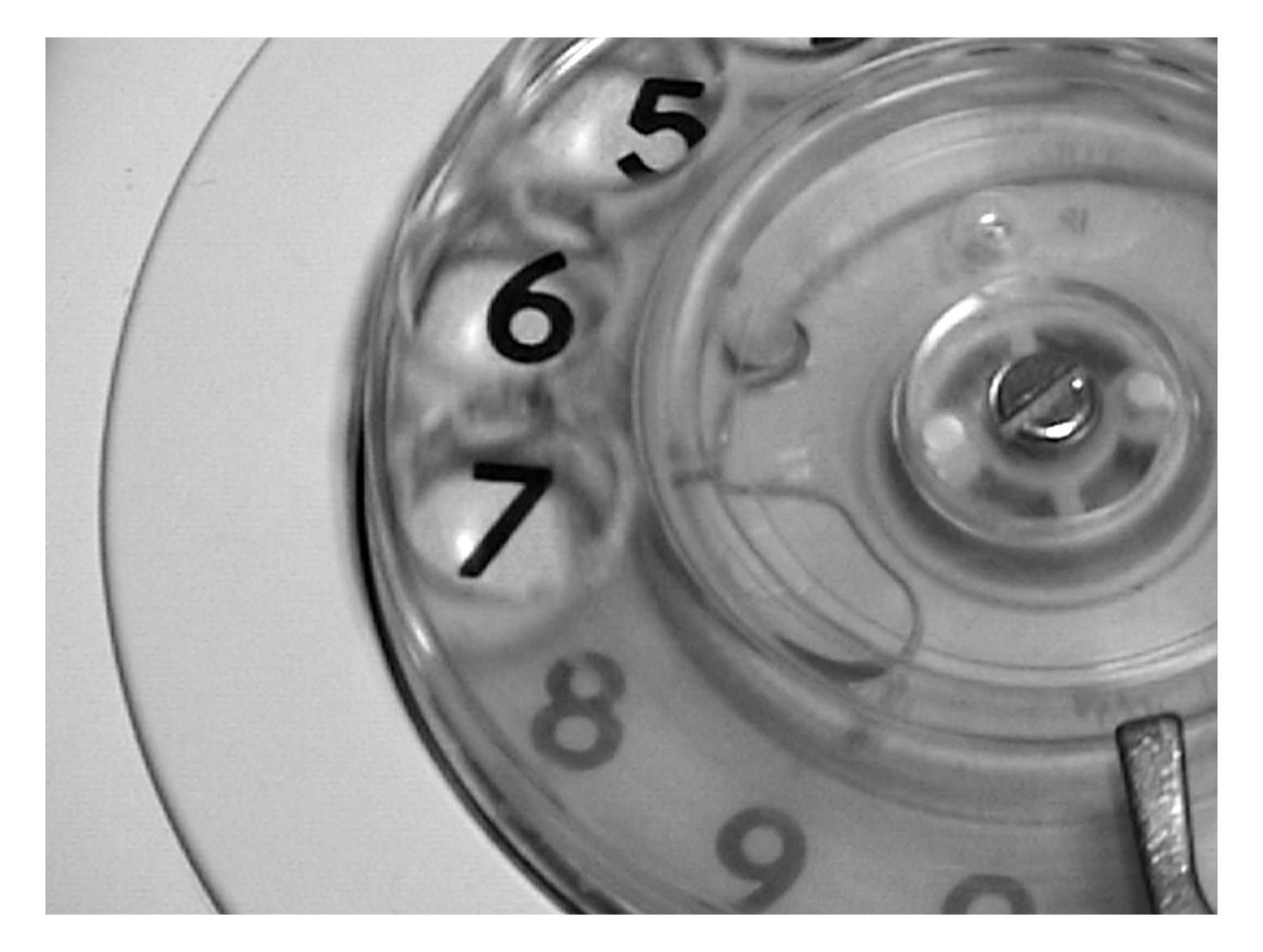 Stills 22.jpg