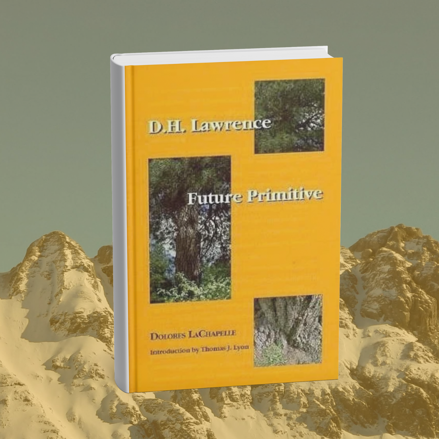 This cover is an orange-yellow with three inset photographs of trees and rocks