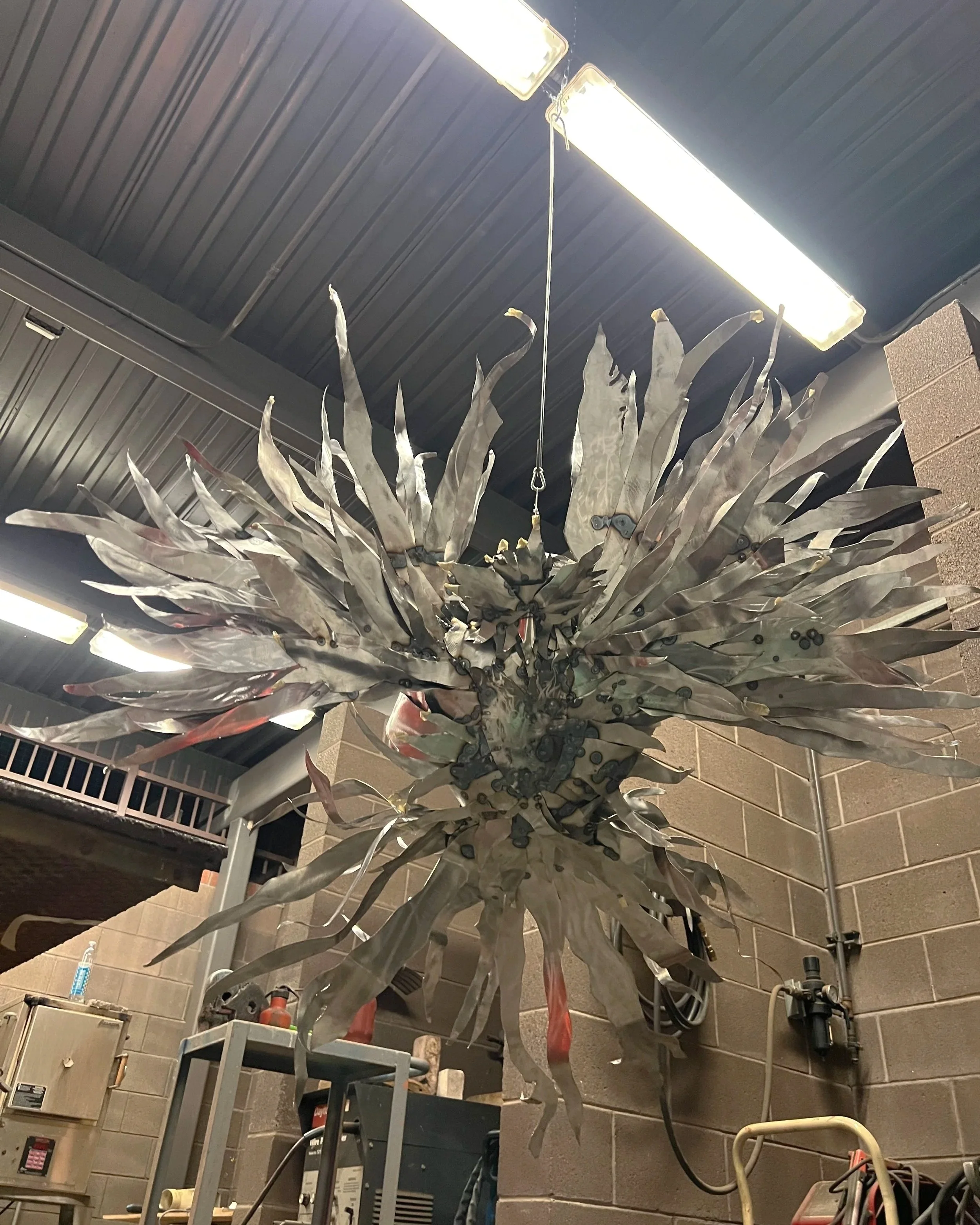 The Phoenix