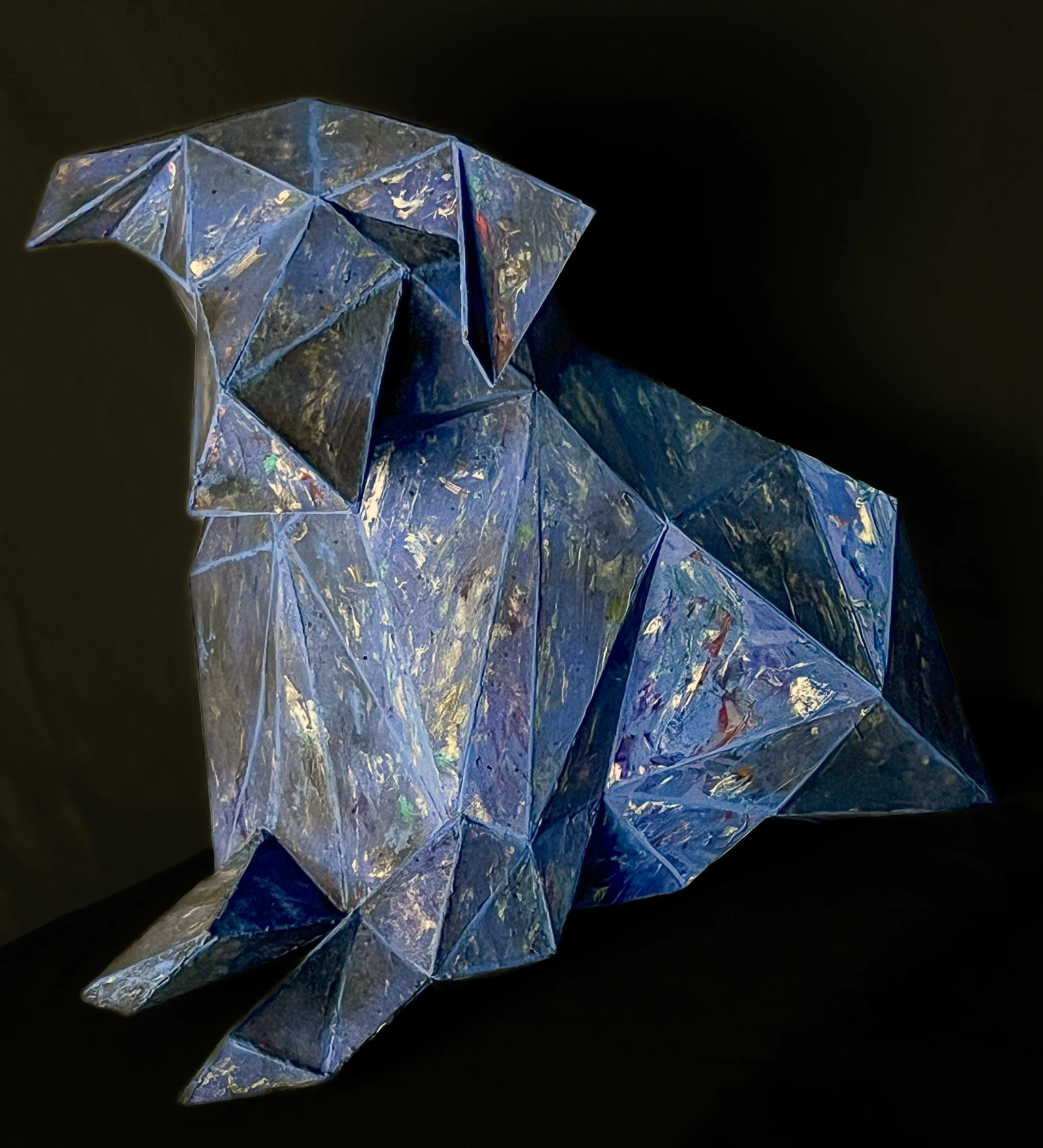 Amalie DiMiceli Nova 3 copy.jpg