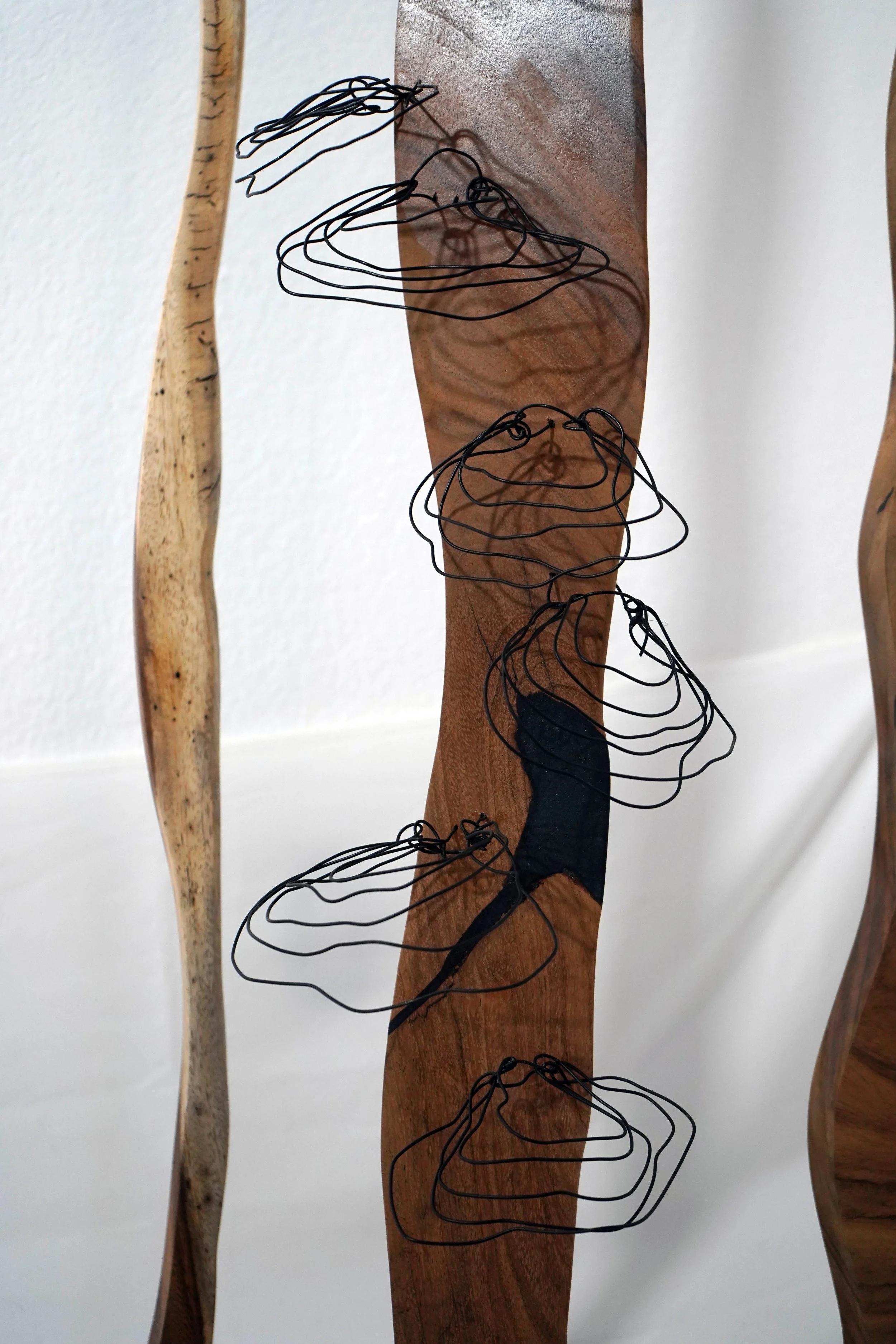 Amalie DiMiceli I seek the trees 3.jpg