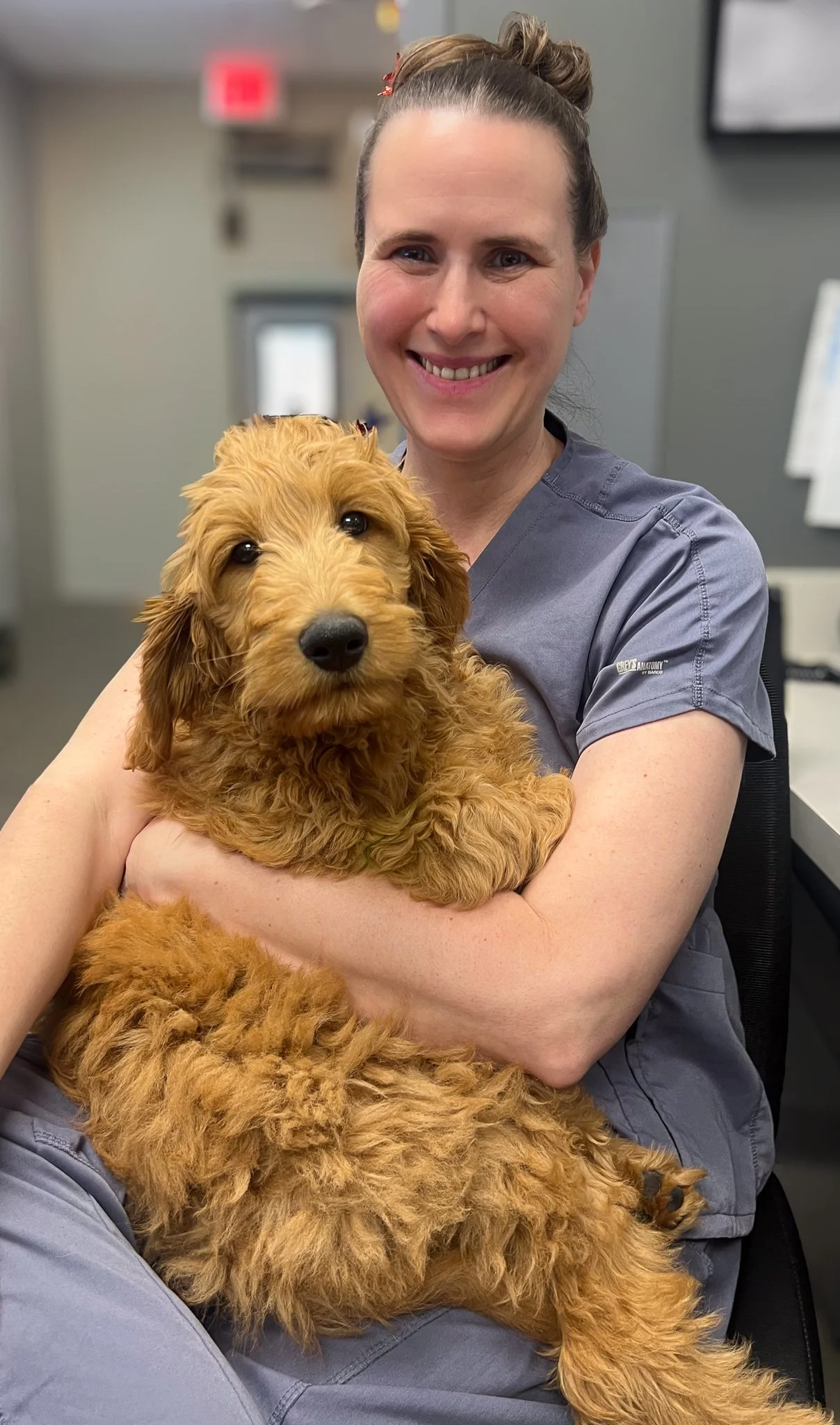 A woman in gray scrubs holding a fluffy, golden-colored puppy in a veterinary clinic or animal care facility.
