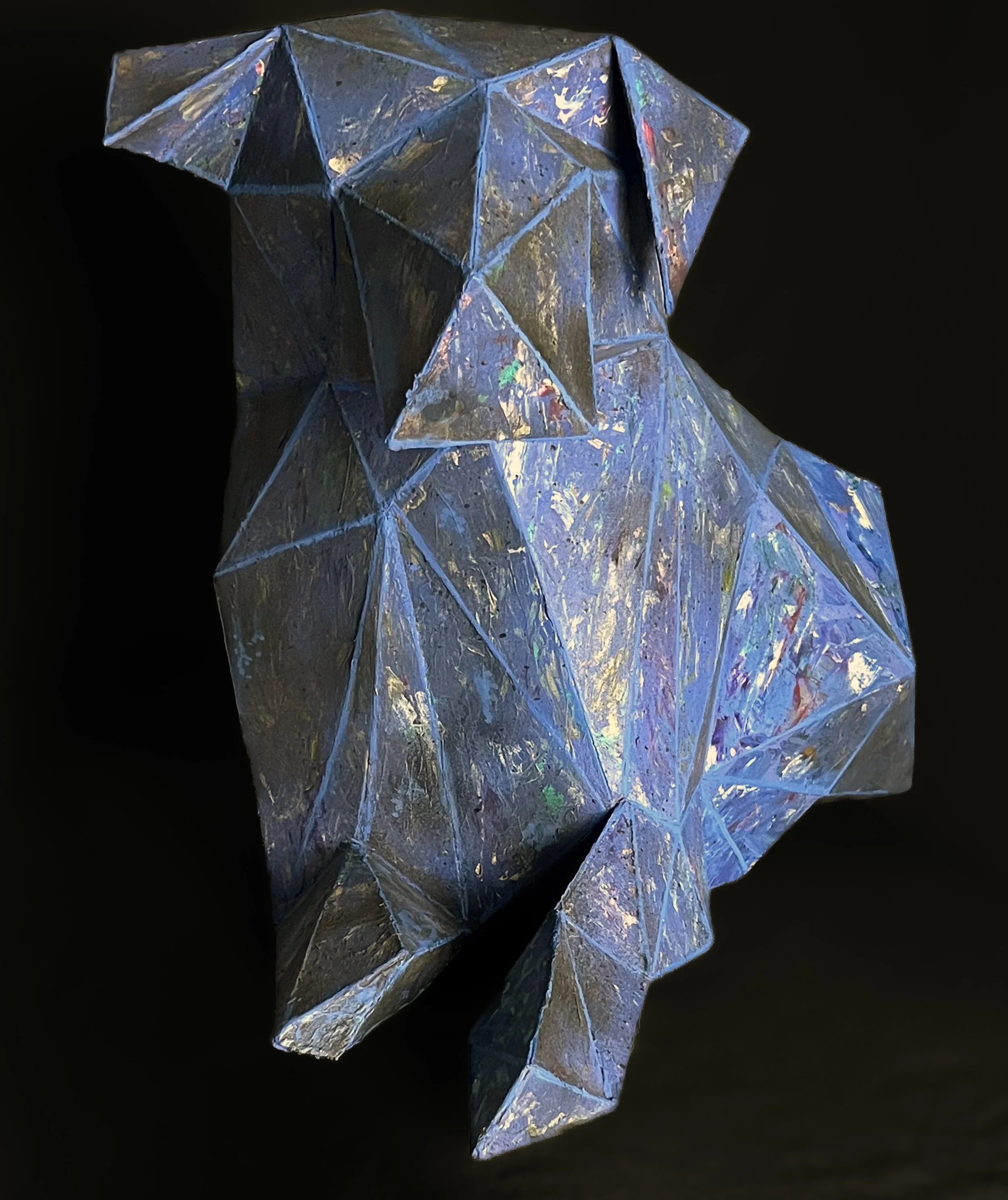 Amalie DiMiceli Nova 2 copy.jpg