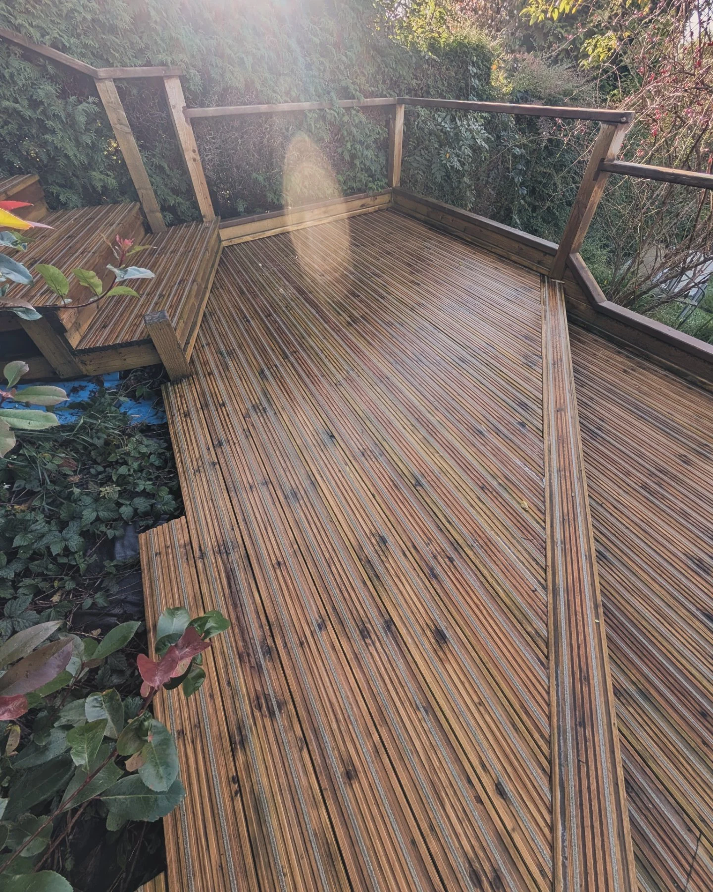 A wooden deck with a railing surrounded by greenery, with sunlight shining through, showing a natural outdoor setting.