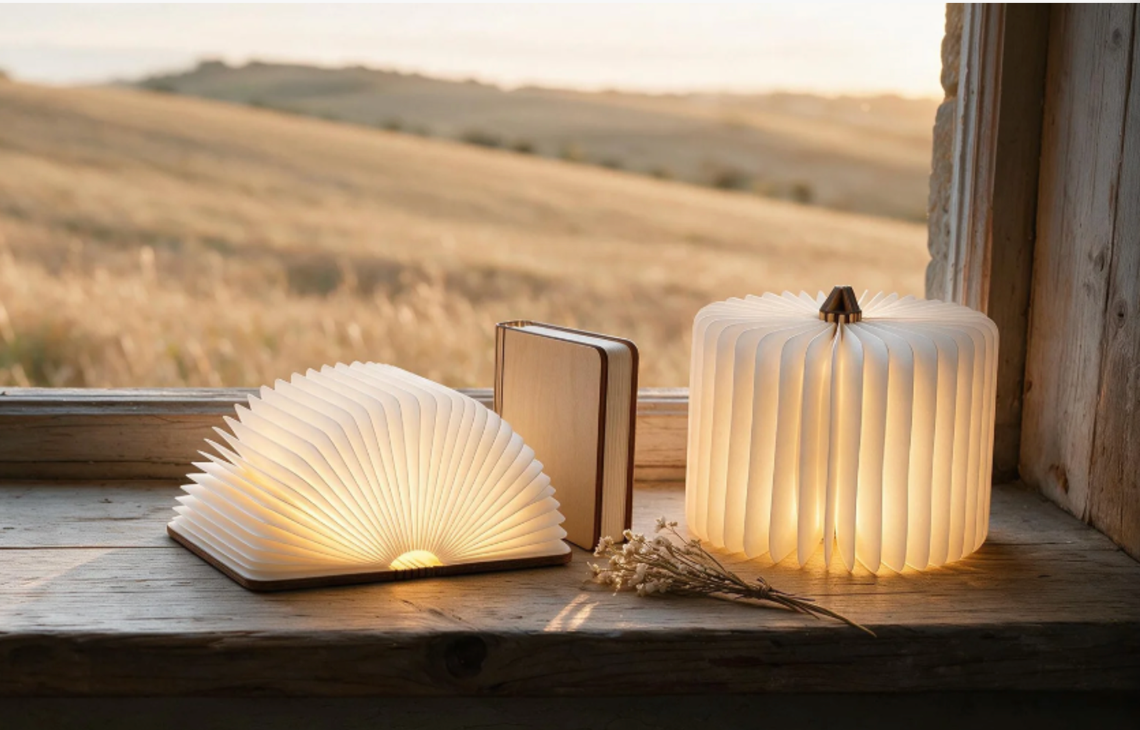 Book Lamp Collection